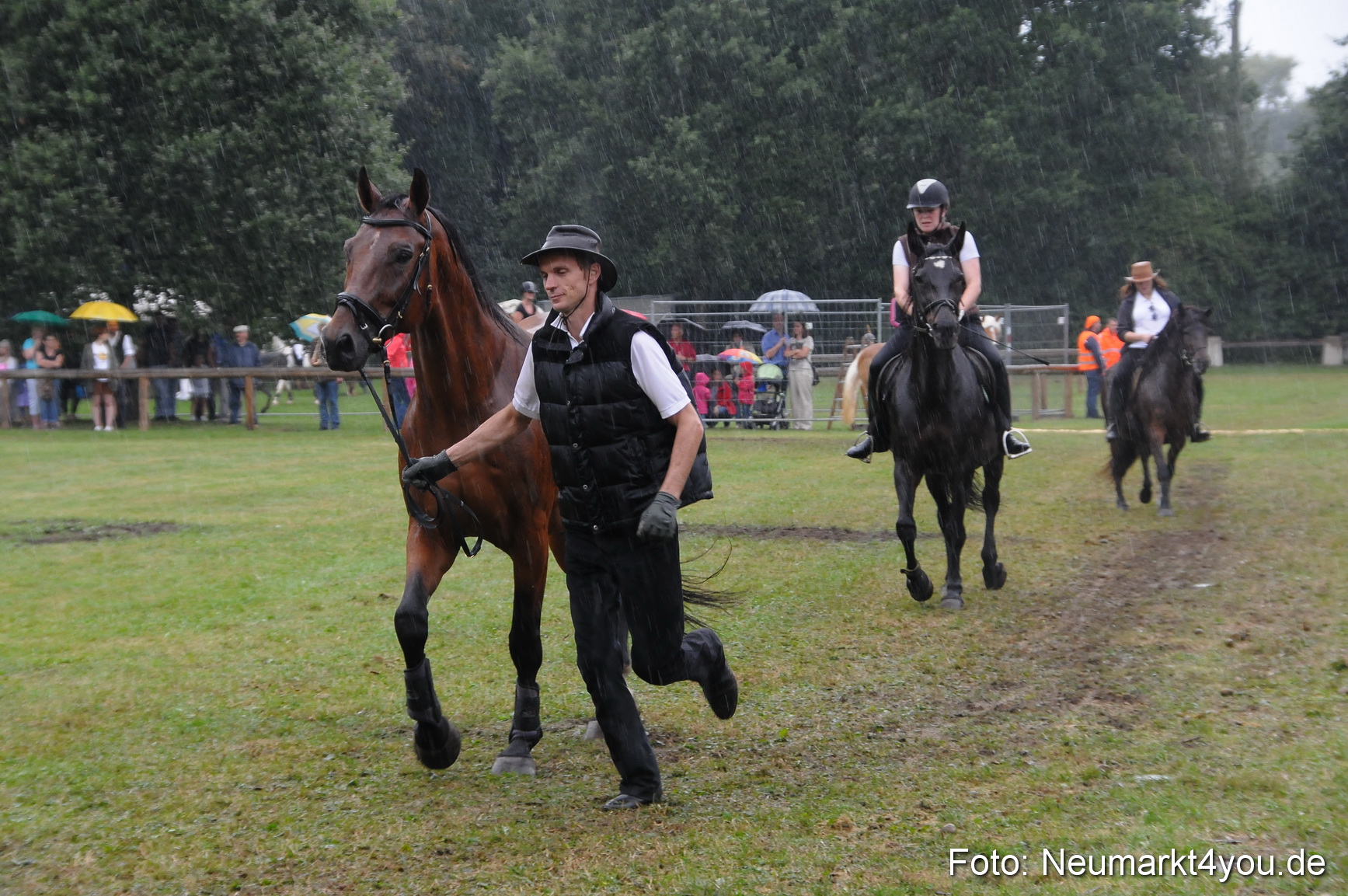 Pferde und Fohlenschau 190813 0127