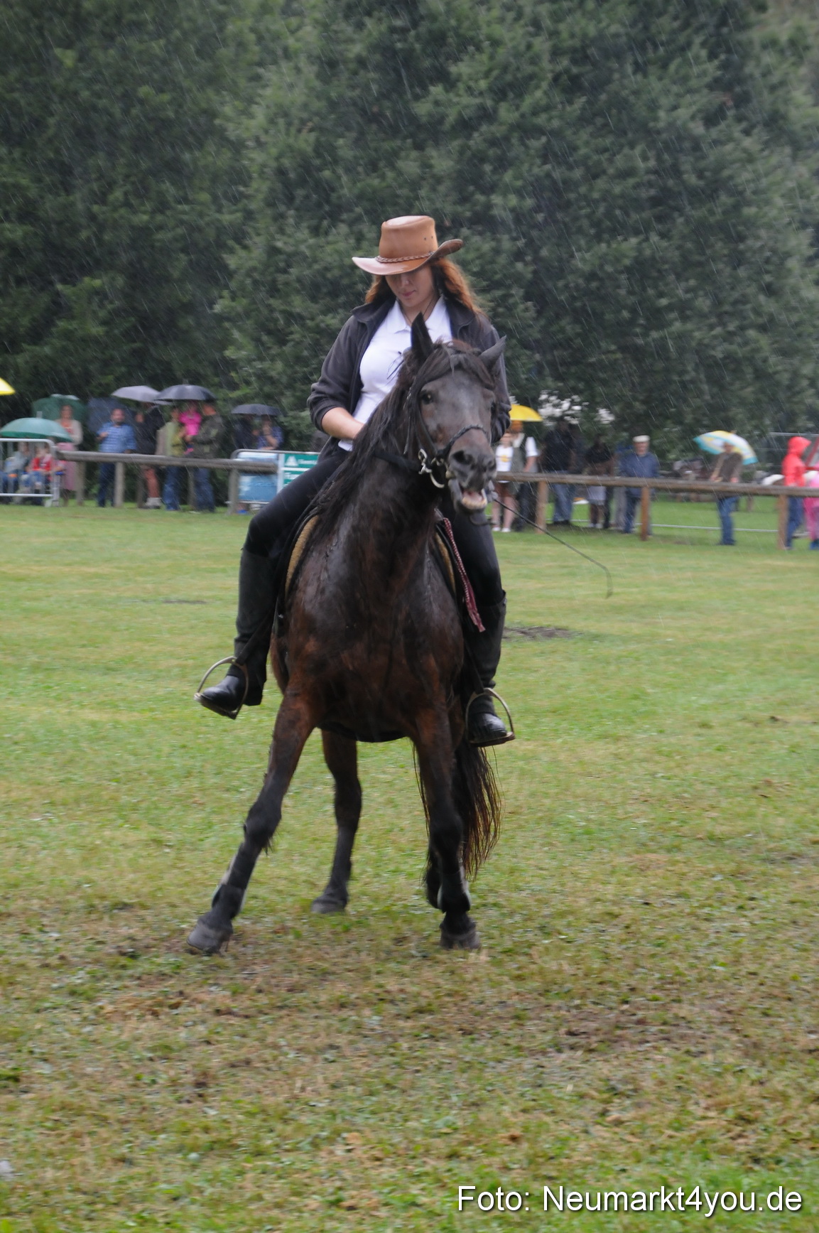 Pferde und Fohlenschau 190813 0129