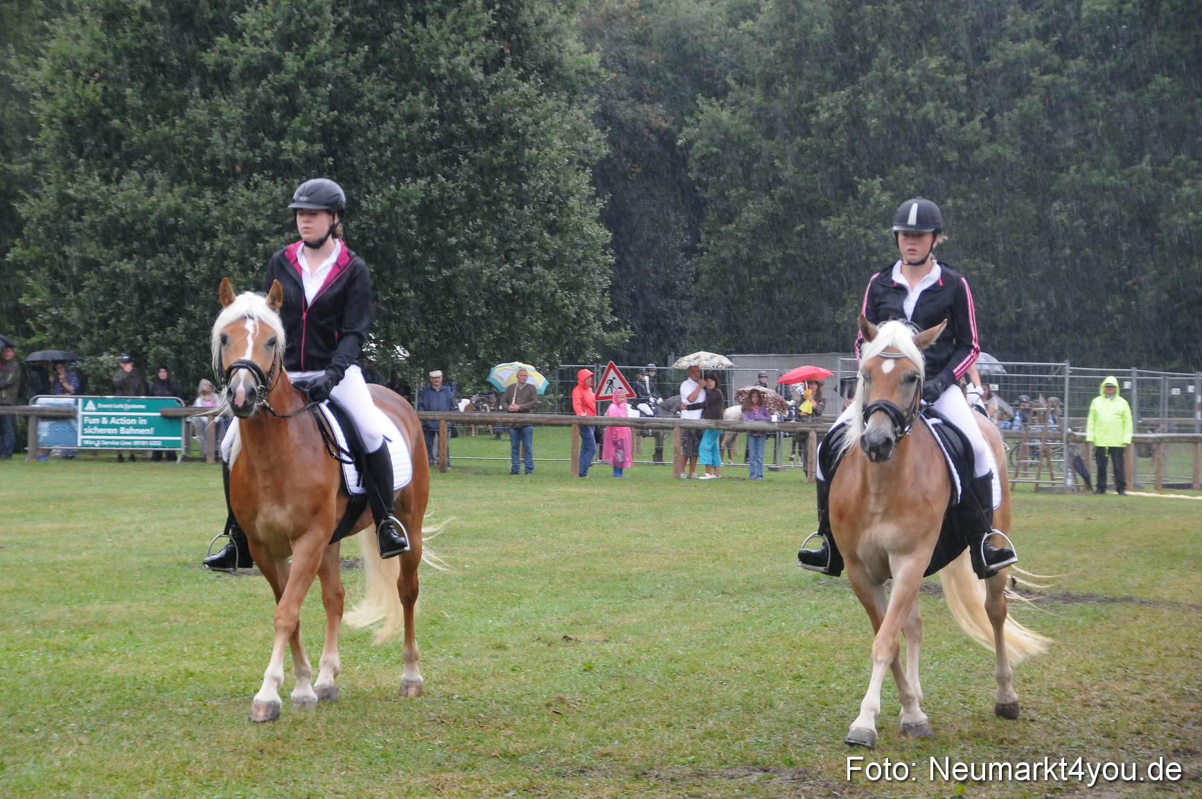 Pferde und Fohlenschau 190813 0130