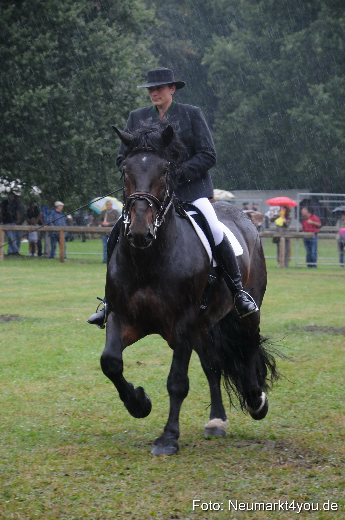 Pferde und Fohlenschau 190813 0132