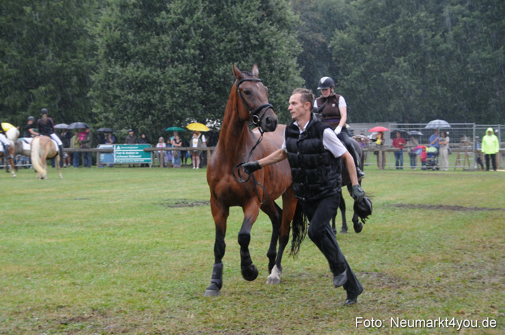 Pferde und Fohlenschau 190813 0133