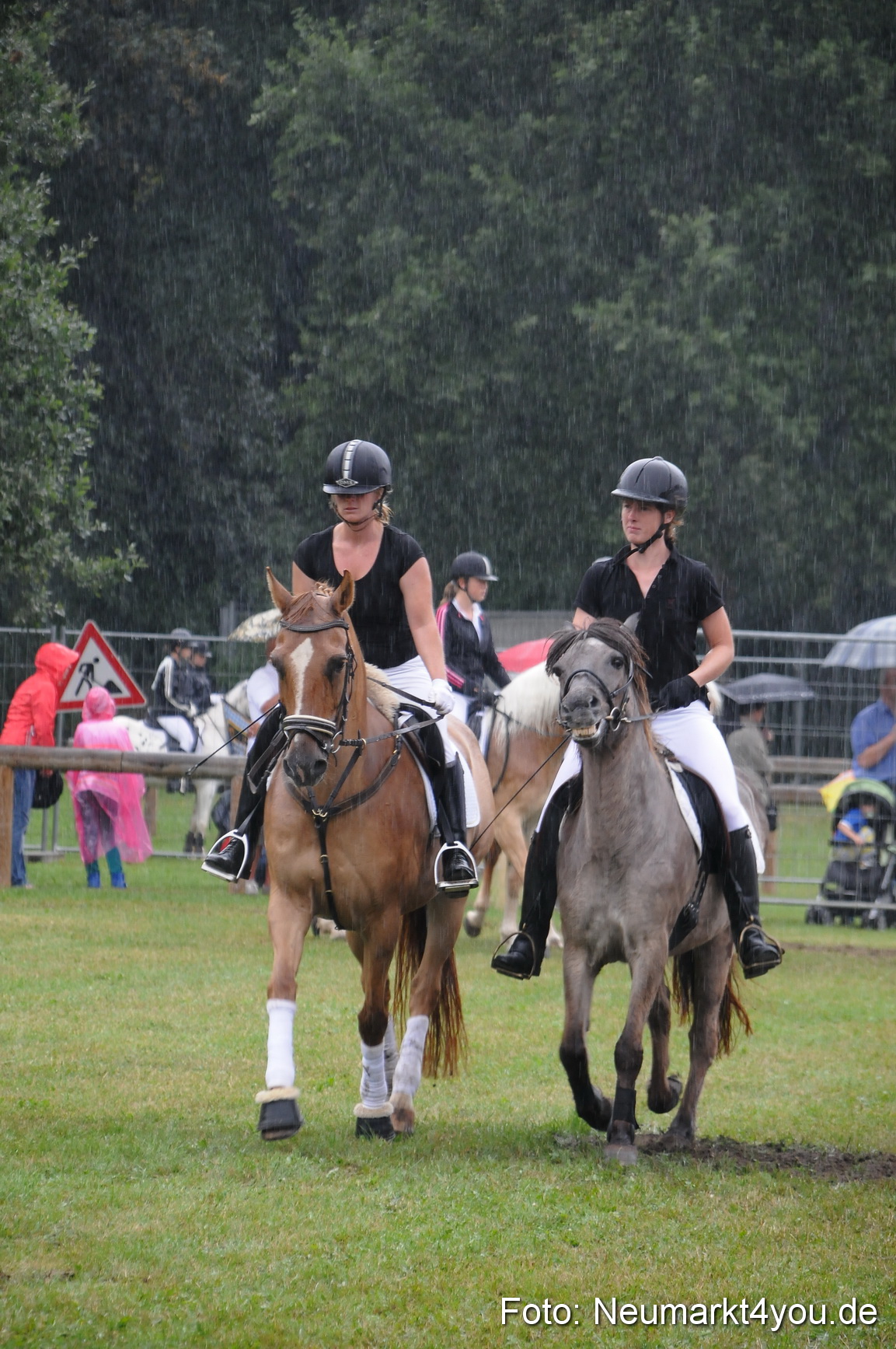 Pferde und Fohlenschau 190813 0134