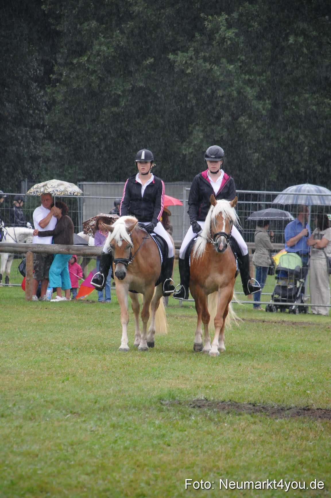 Pferde und Fohlenschau 190813 0135