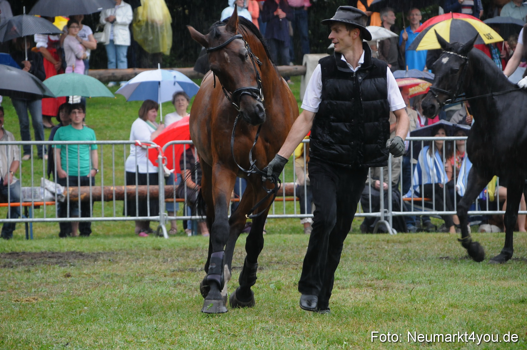Pferde und Fohlenschau 190813 0137