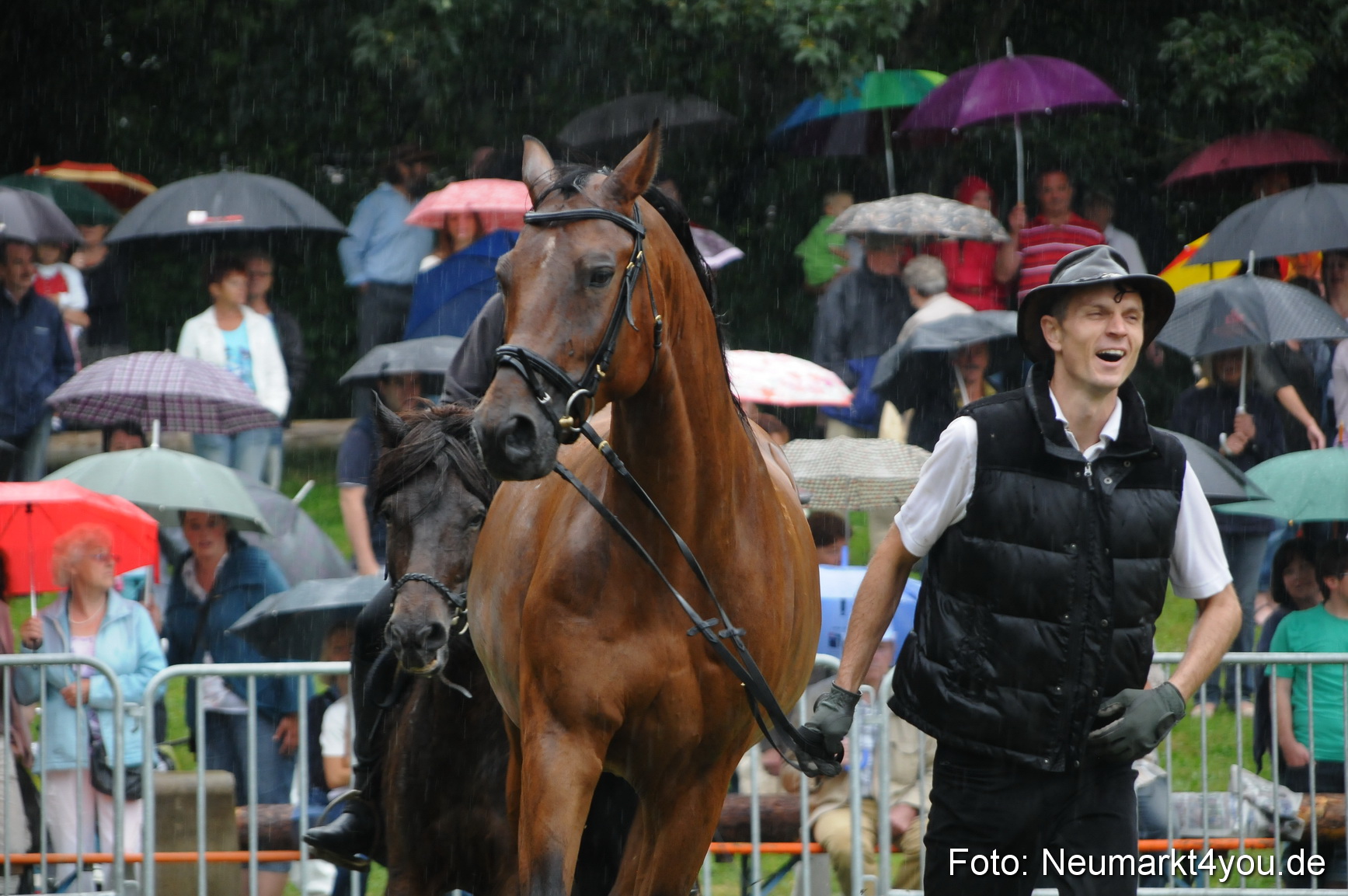 Pferde und Fohlenschau 190813 0140