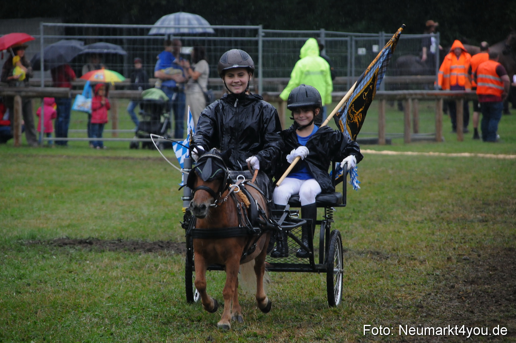 Pferde und Fohlenschau 190813 0141