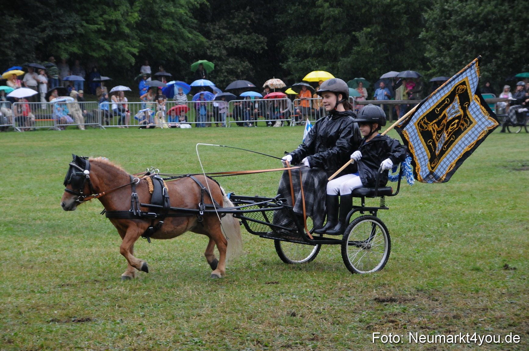 Pferde und Fohlenschau 190813 0142