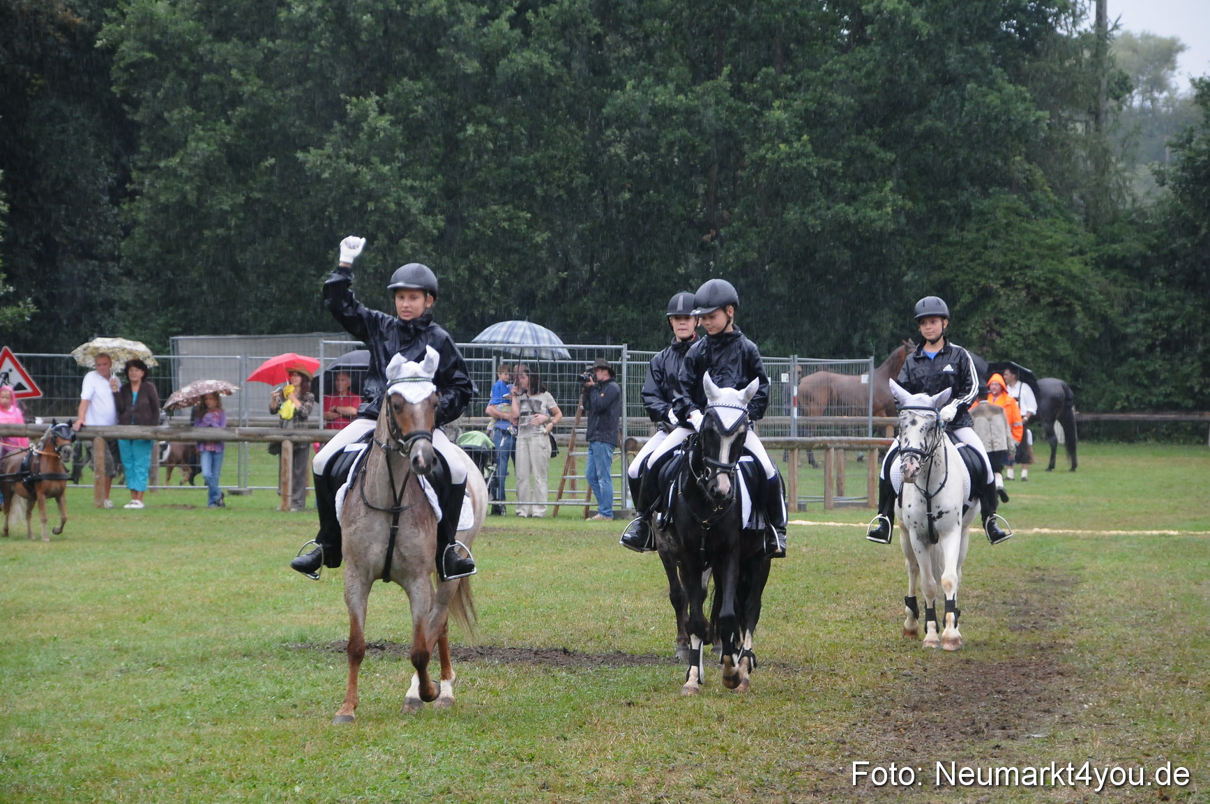 Pferde und Fohlenschau 190813 0143