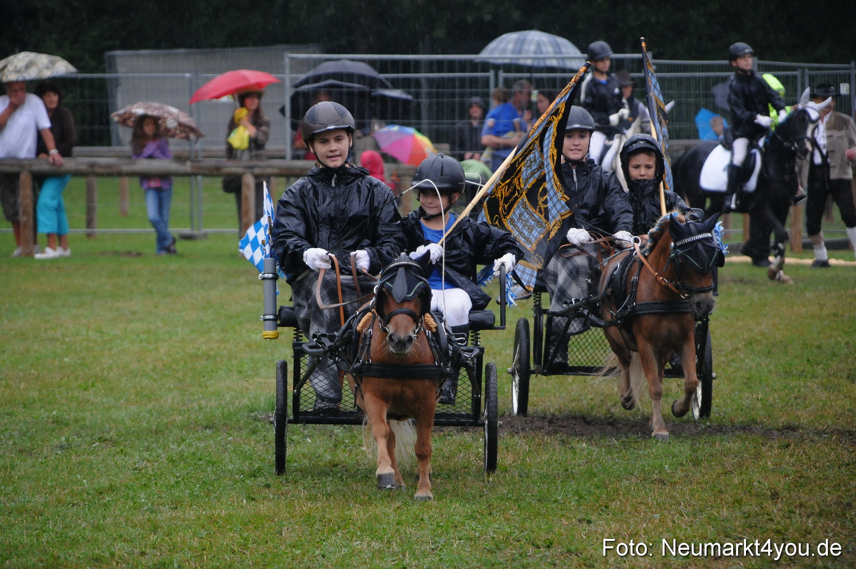 Pferde und Fohlenschau 190813 0146