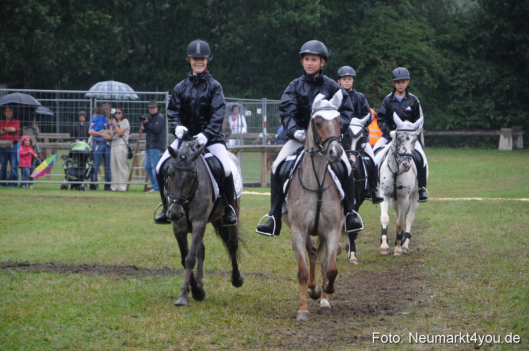 Pferde und Fohlenschau 190813 0147