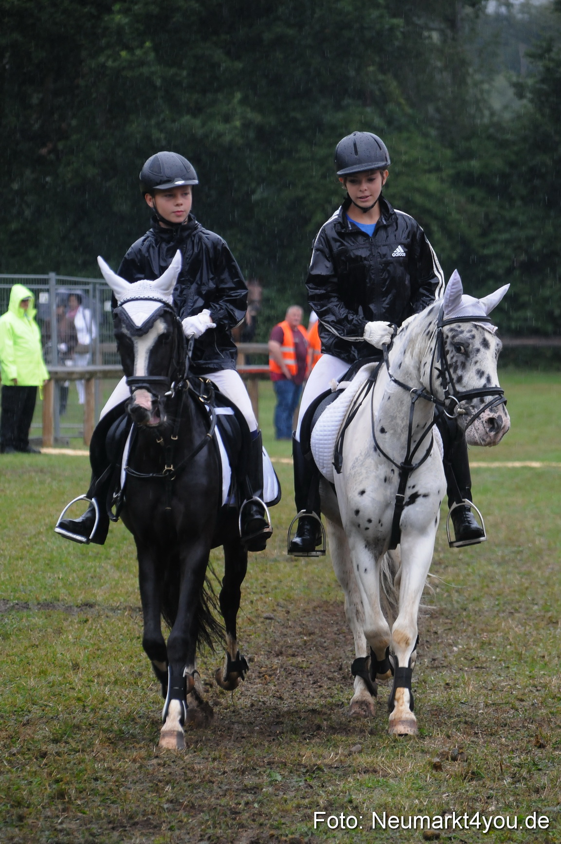 Pferde und Fohlenschau 190813 0148
