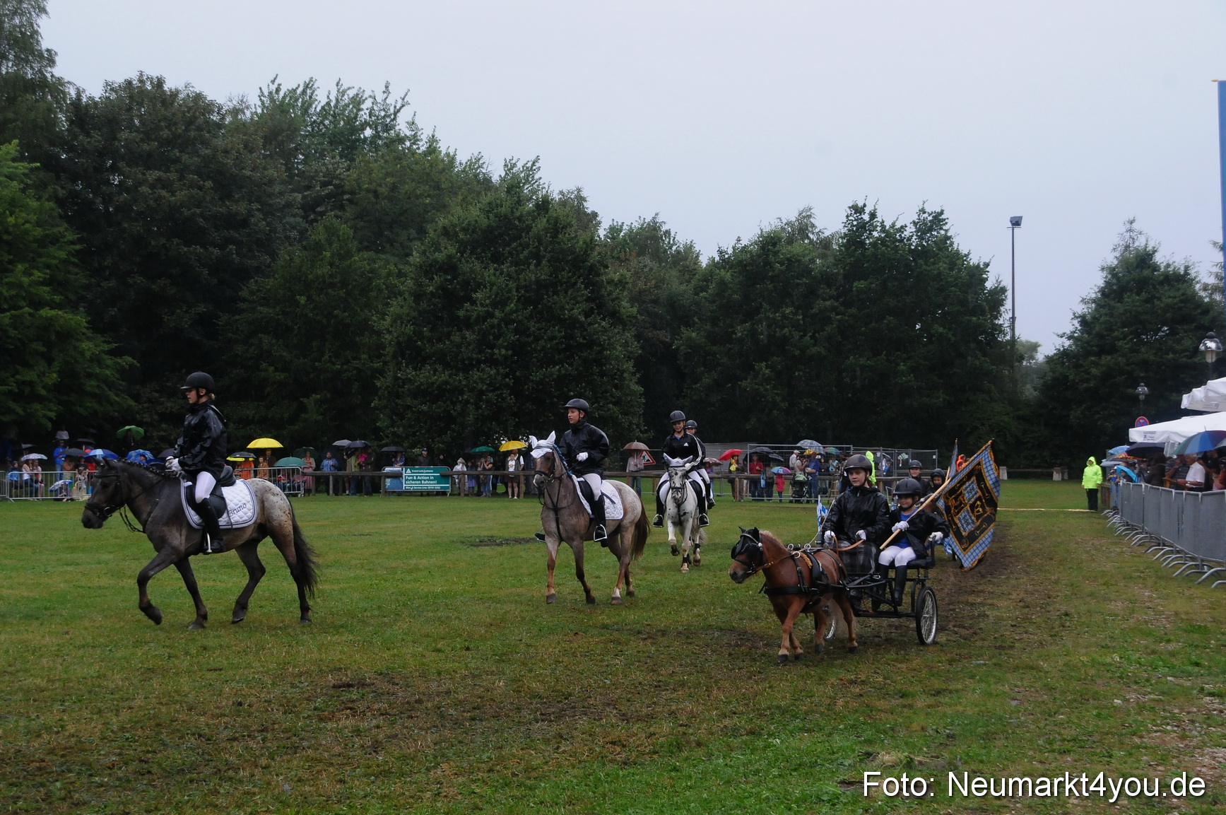 Pferde und Fohlenschau 190813 0149