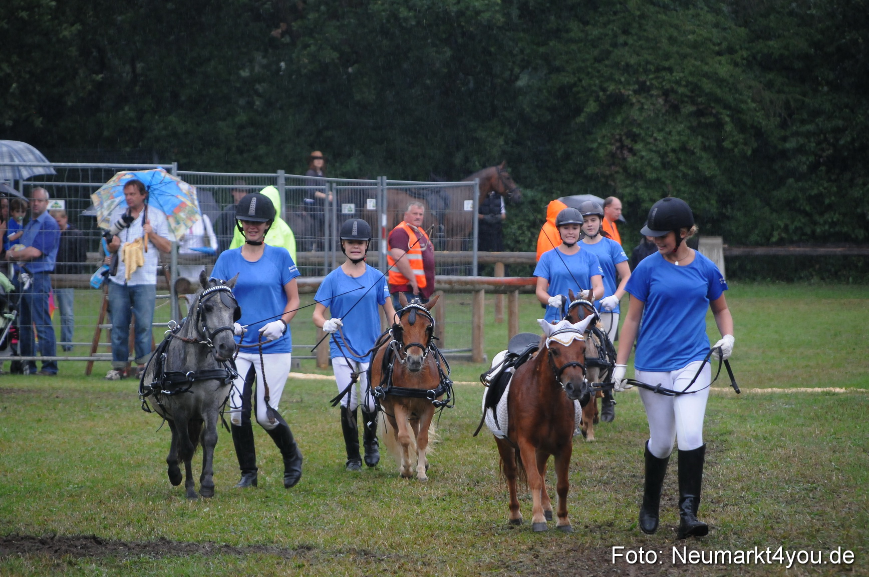 Pferde und Fohlenschau 190813 0154