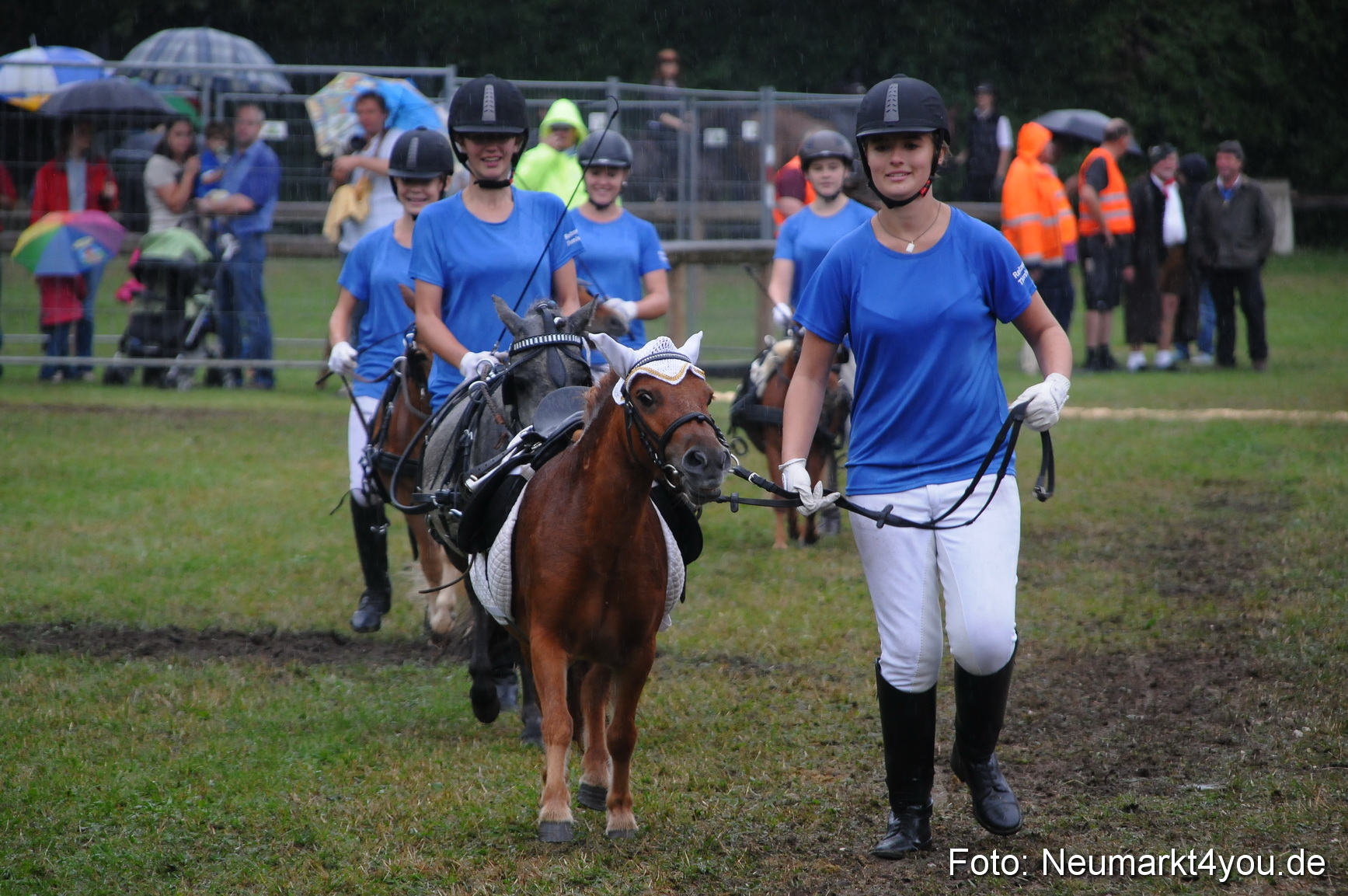 Pferde und Fohlenschau 190813 0155