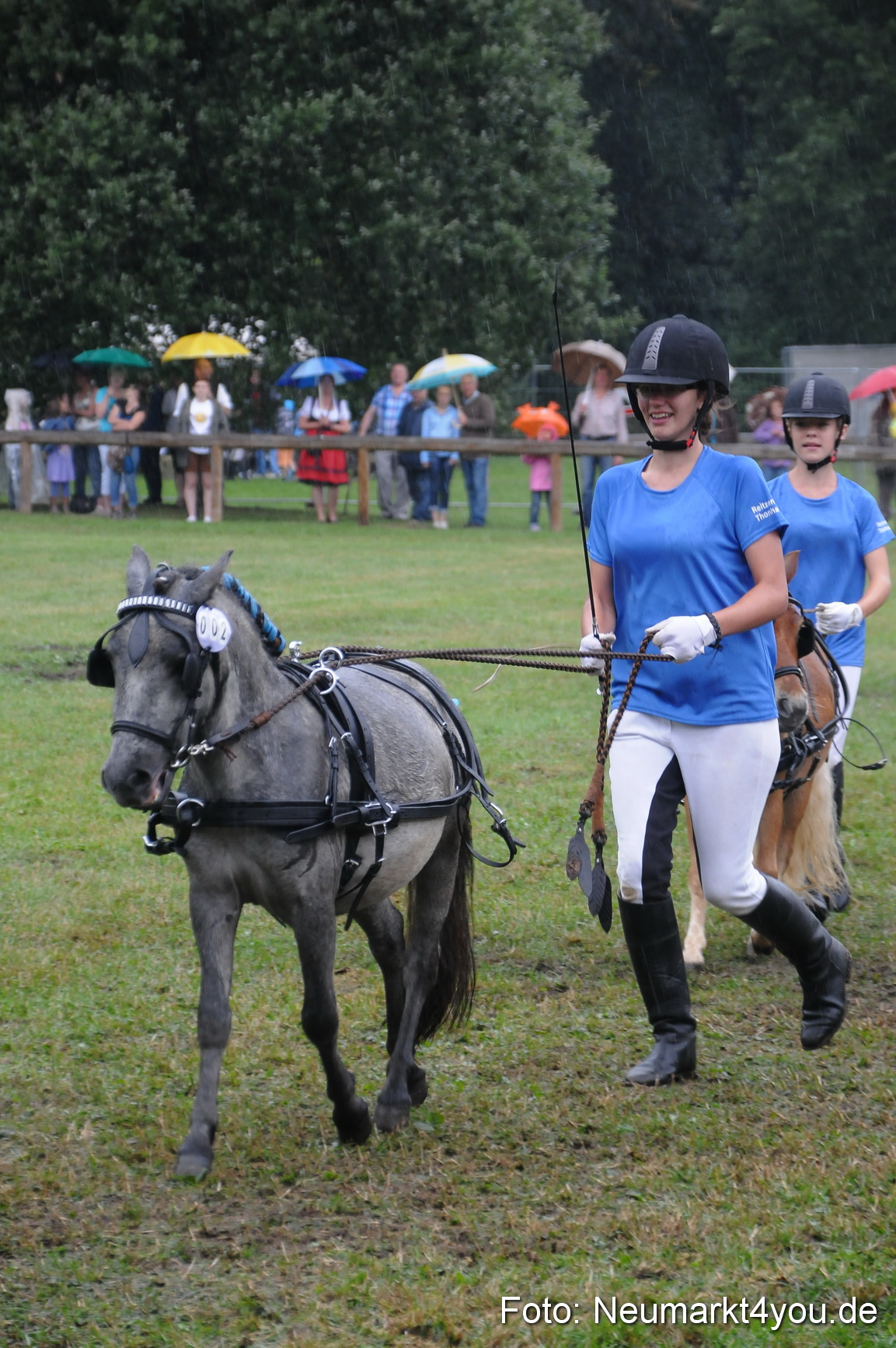 Pferde und Fohlenschau 190813 0156