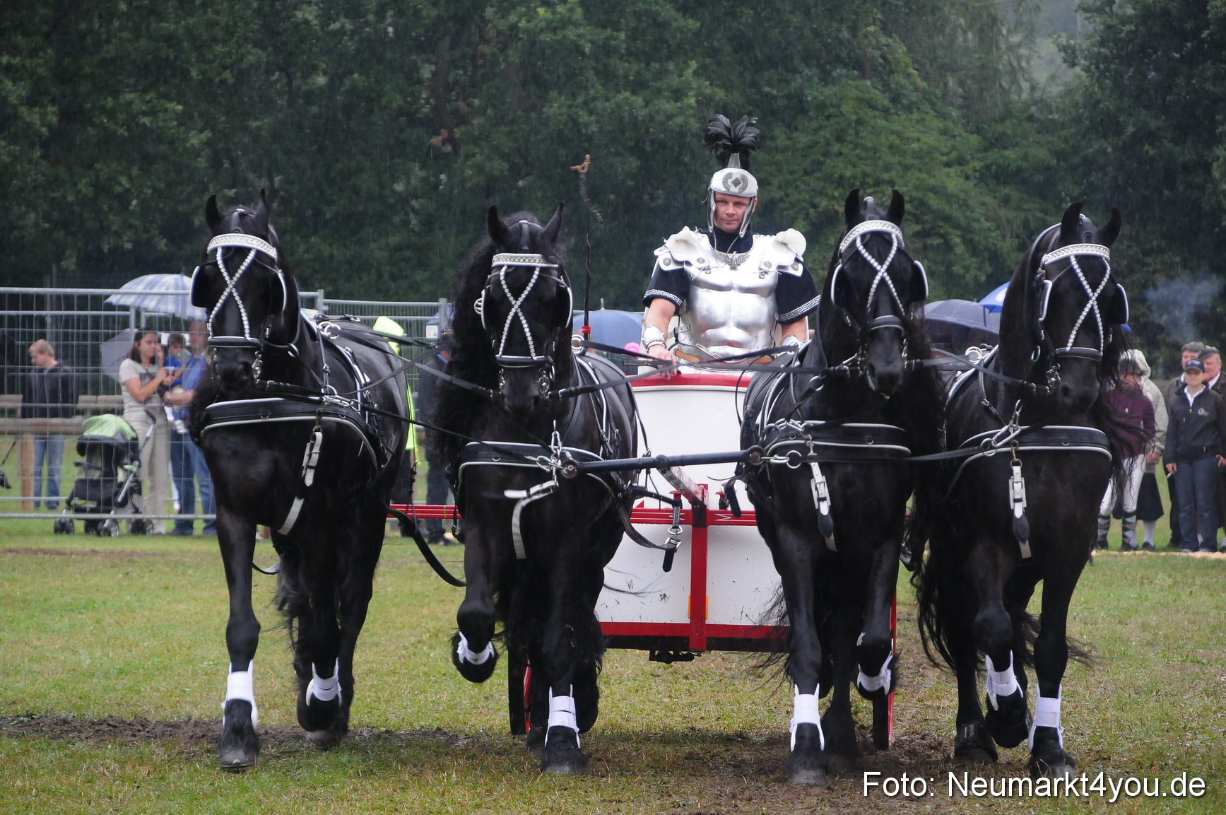 Pferde und Fohlenschau 190813 0163
