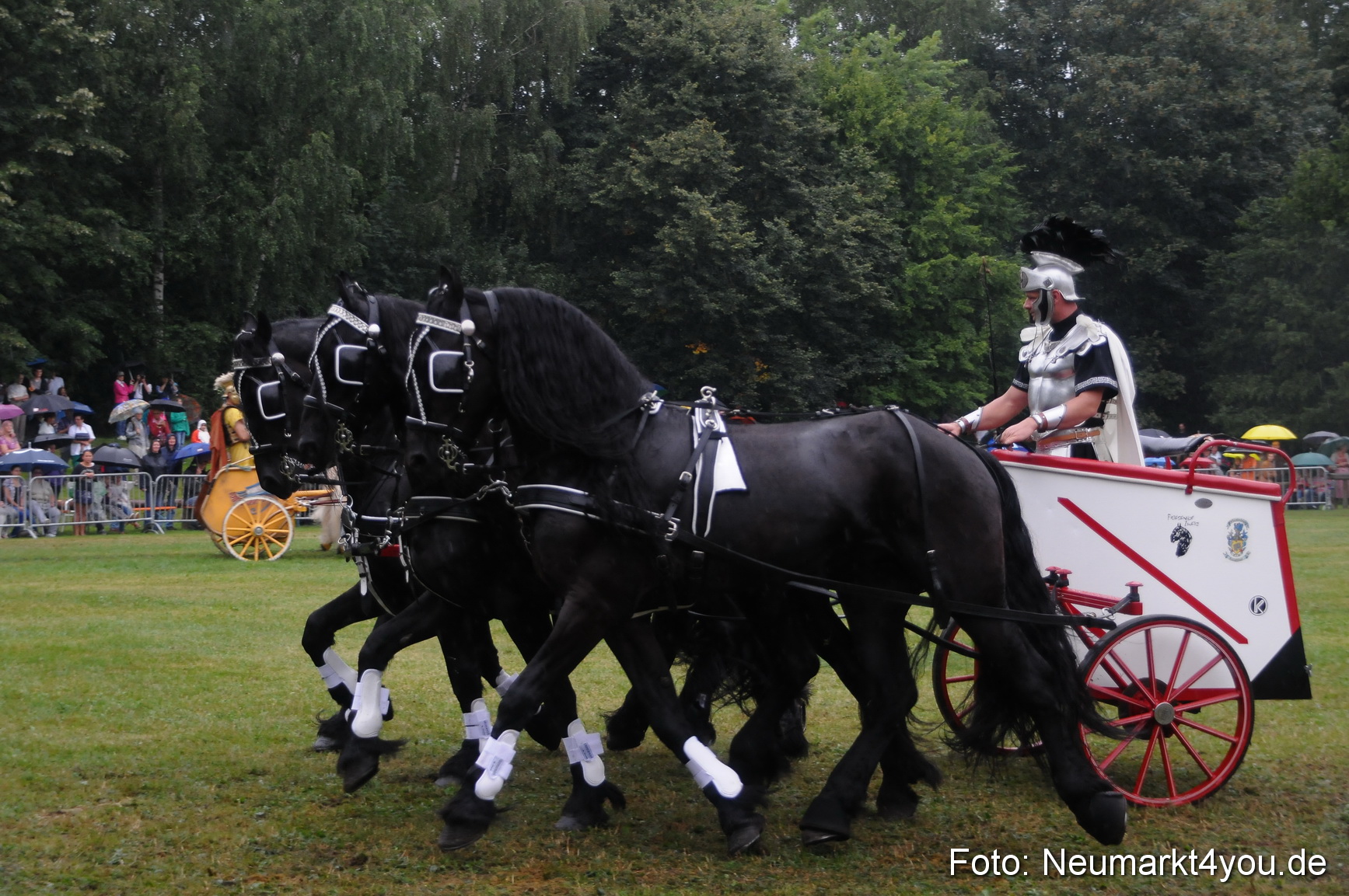 Pferde und Fohlenschau 190813 0164