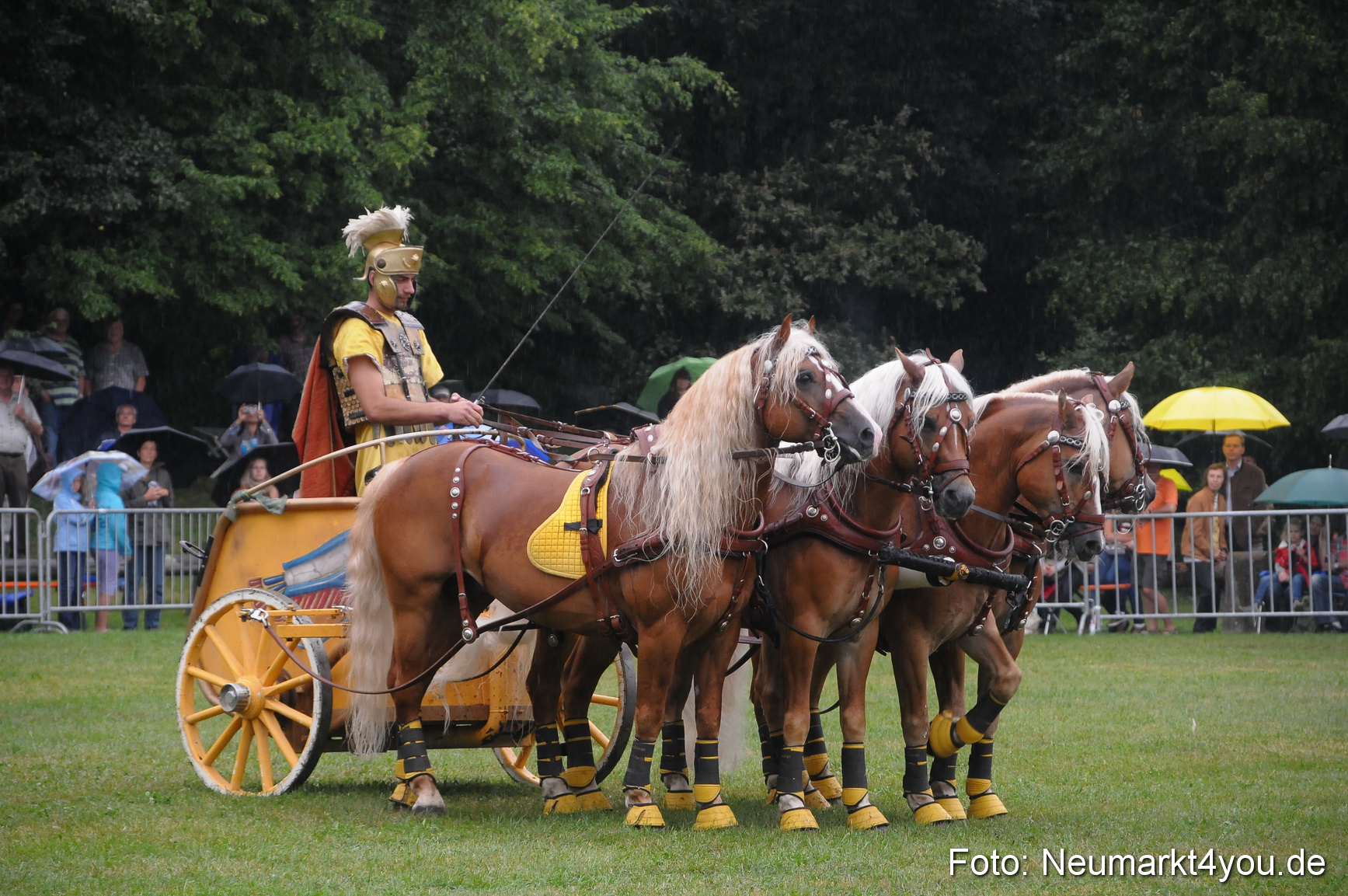 Pferde und Fohlenschau 190813 0165