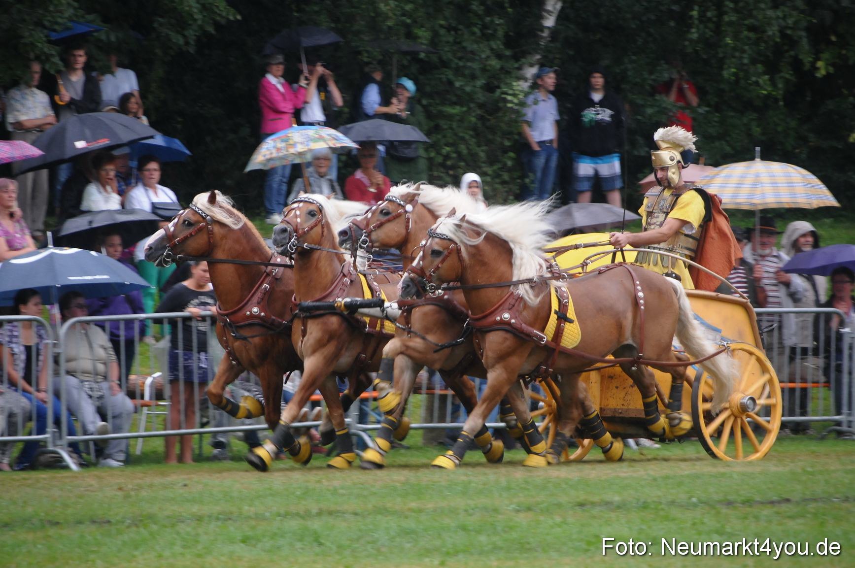 Pferde und Fohlenschau 190813 0168