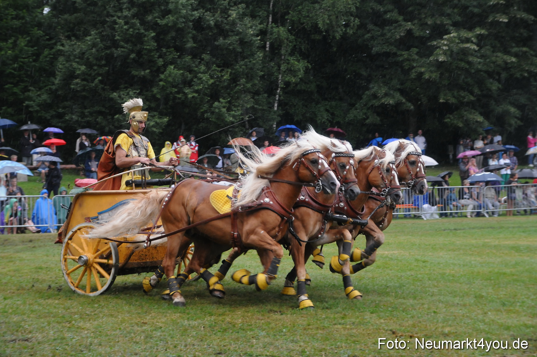 Pferde und Fohlenschau 190813 0170