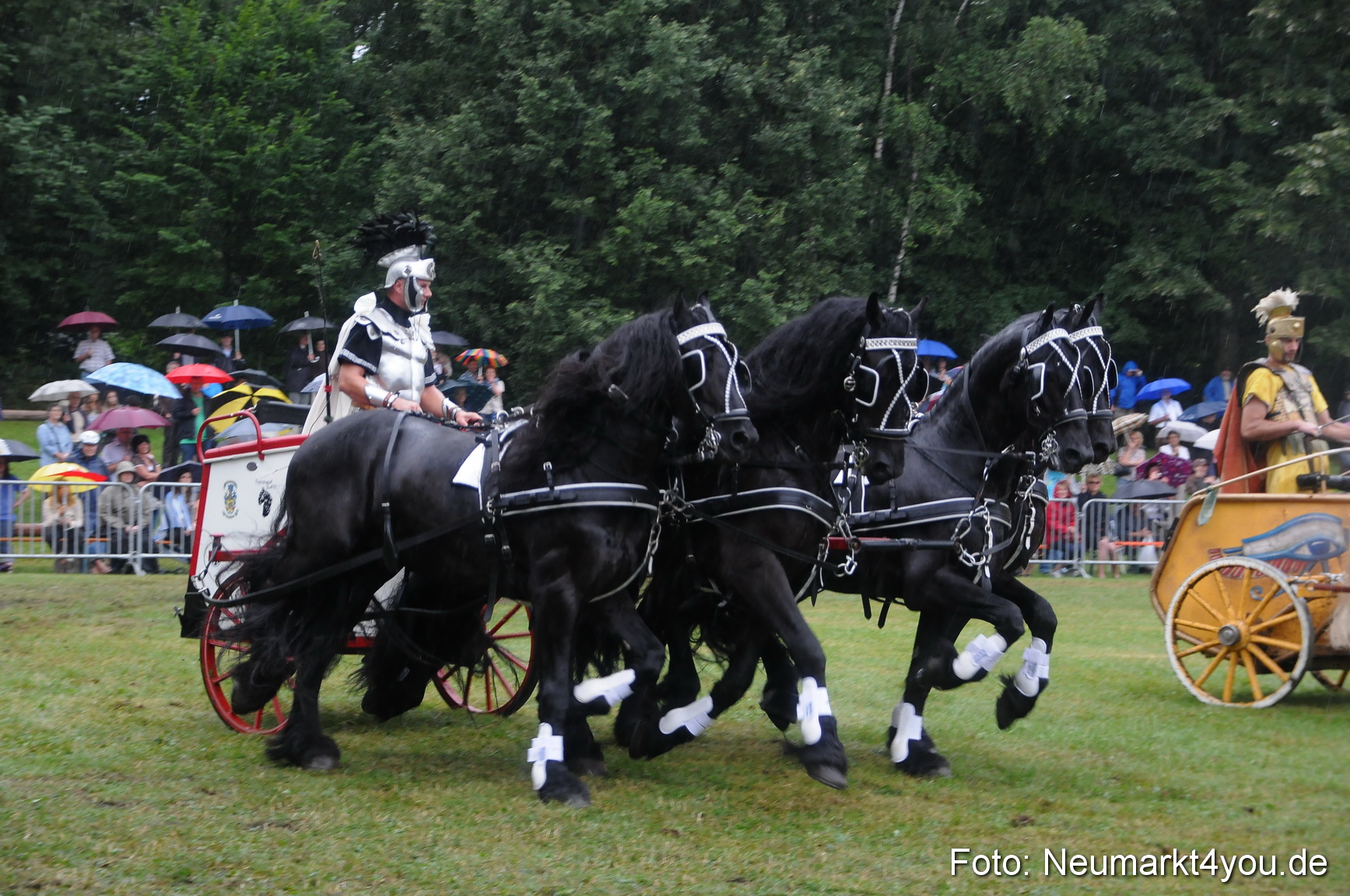 Pferde und Fohlenschau 190813 0172