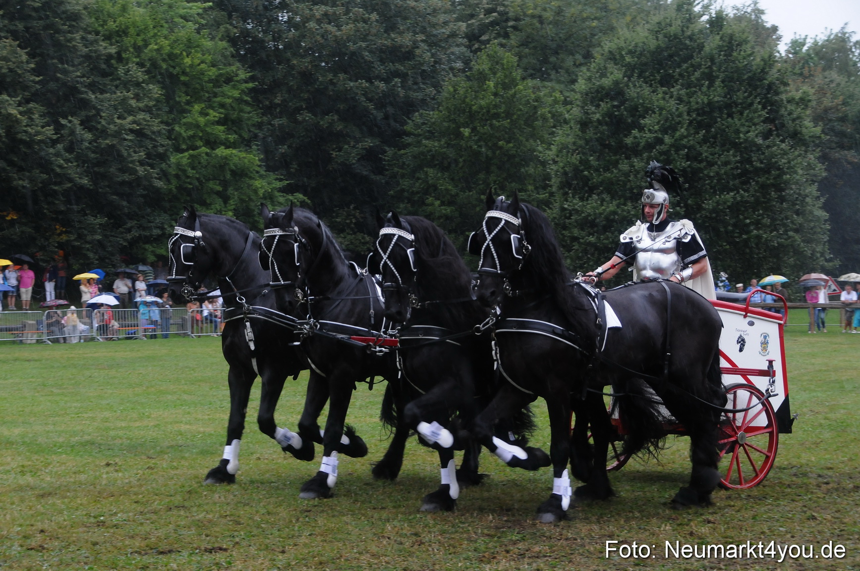Pferde und Fohlenschau 190813 0176