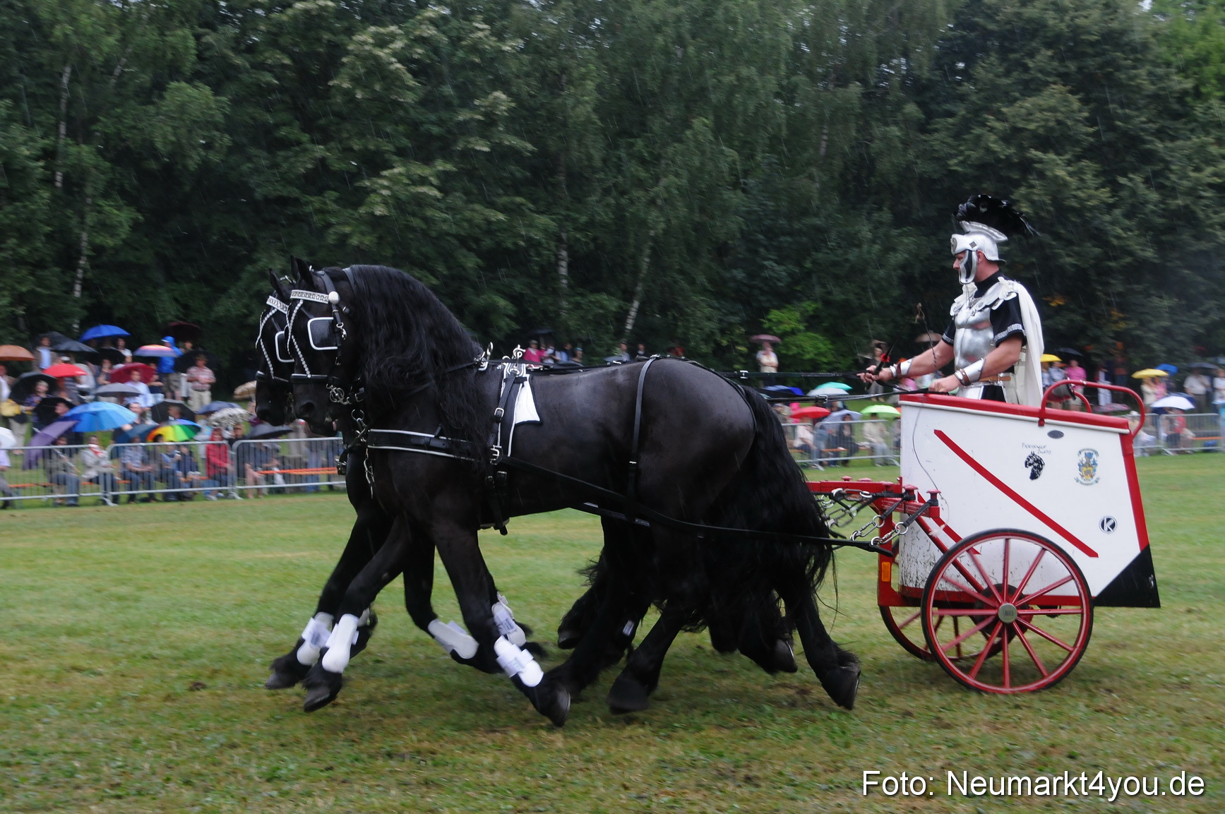 Pferde und Fohlenschau 190813 0177