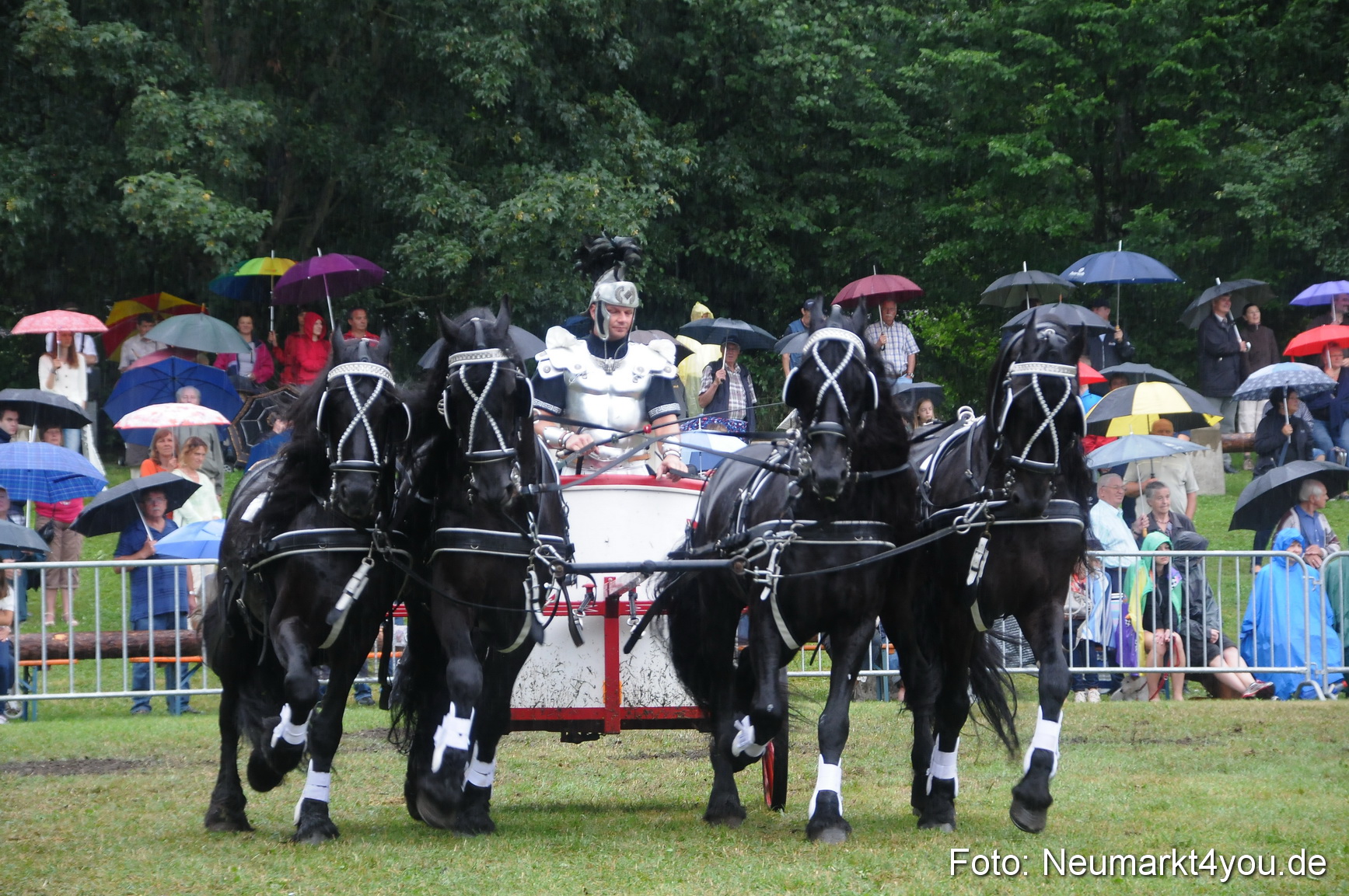 Pferde und Fohlenschau 190813 0178