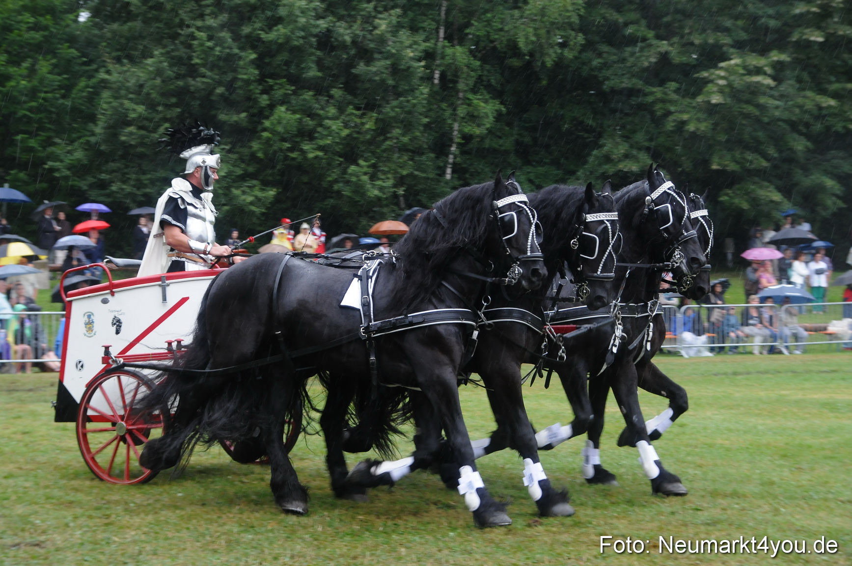 Pferde und Fohlenschau 190813 0179
