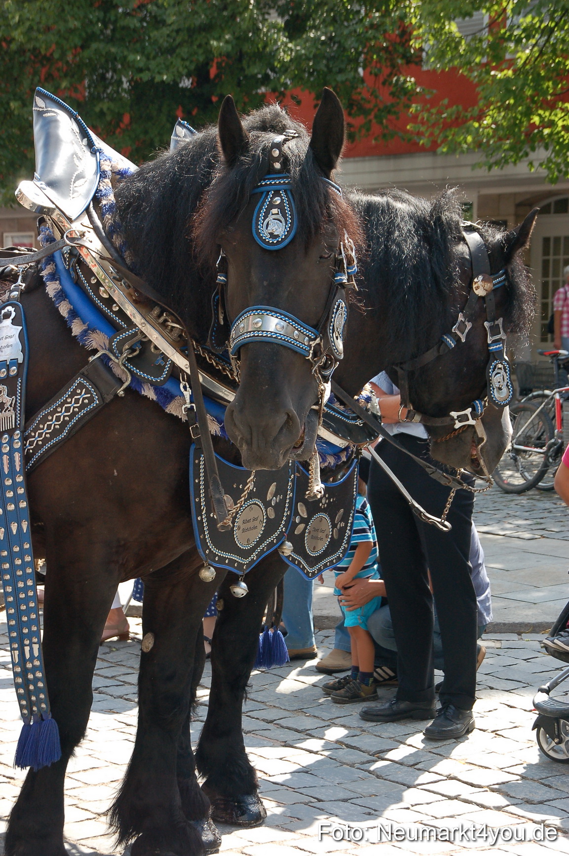 Volksfestzug Neumarkt 110813 0414