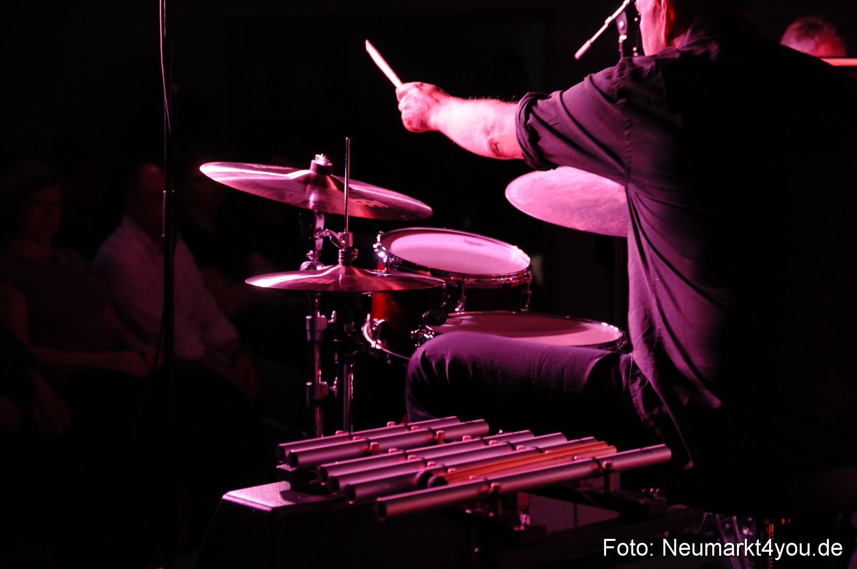 0084 Wolfgang Haffner Trio