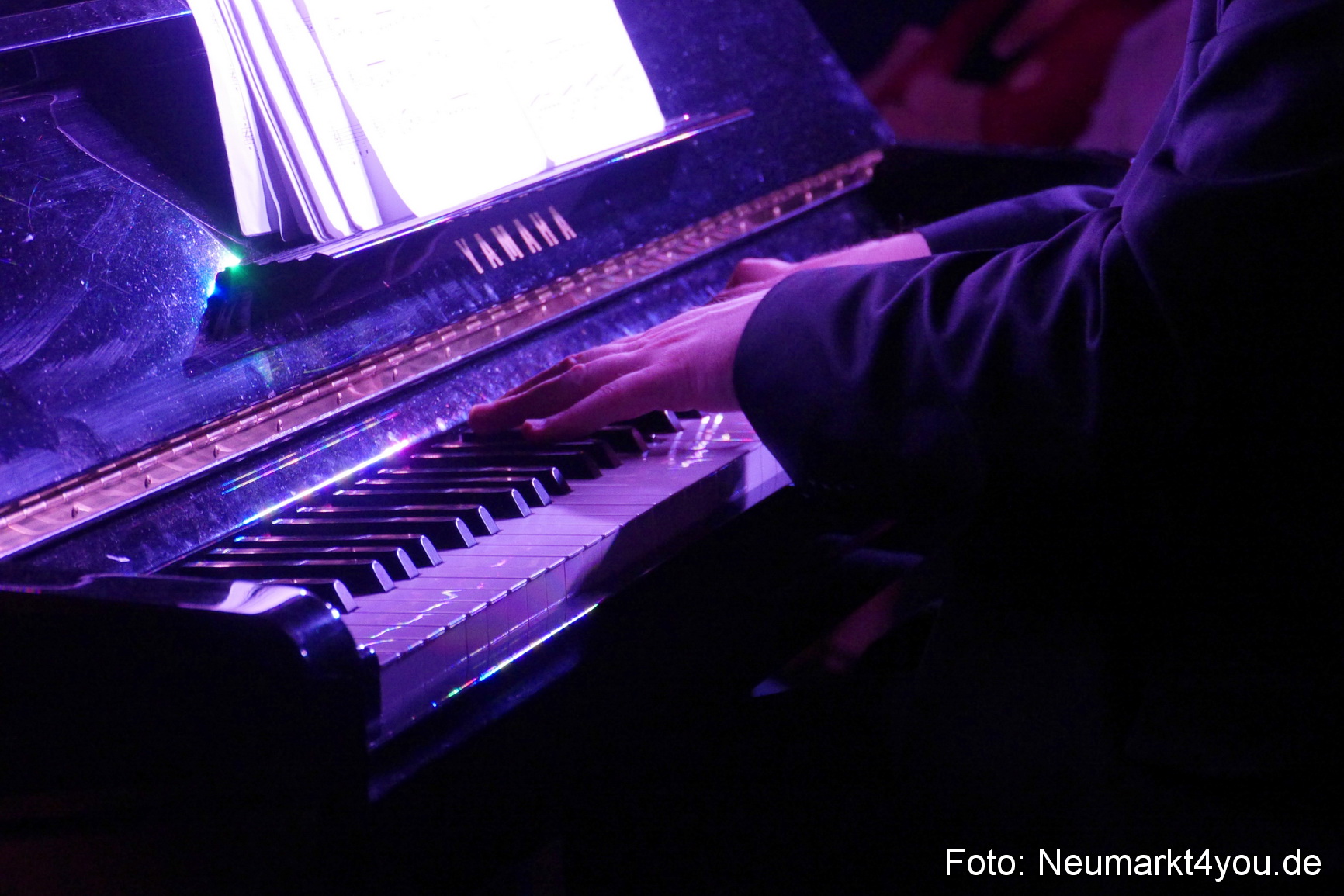 0095 Wolfgang Haffner Trio