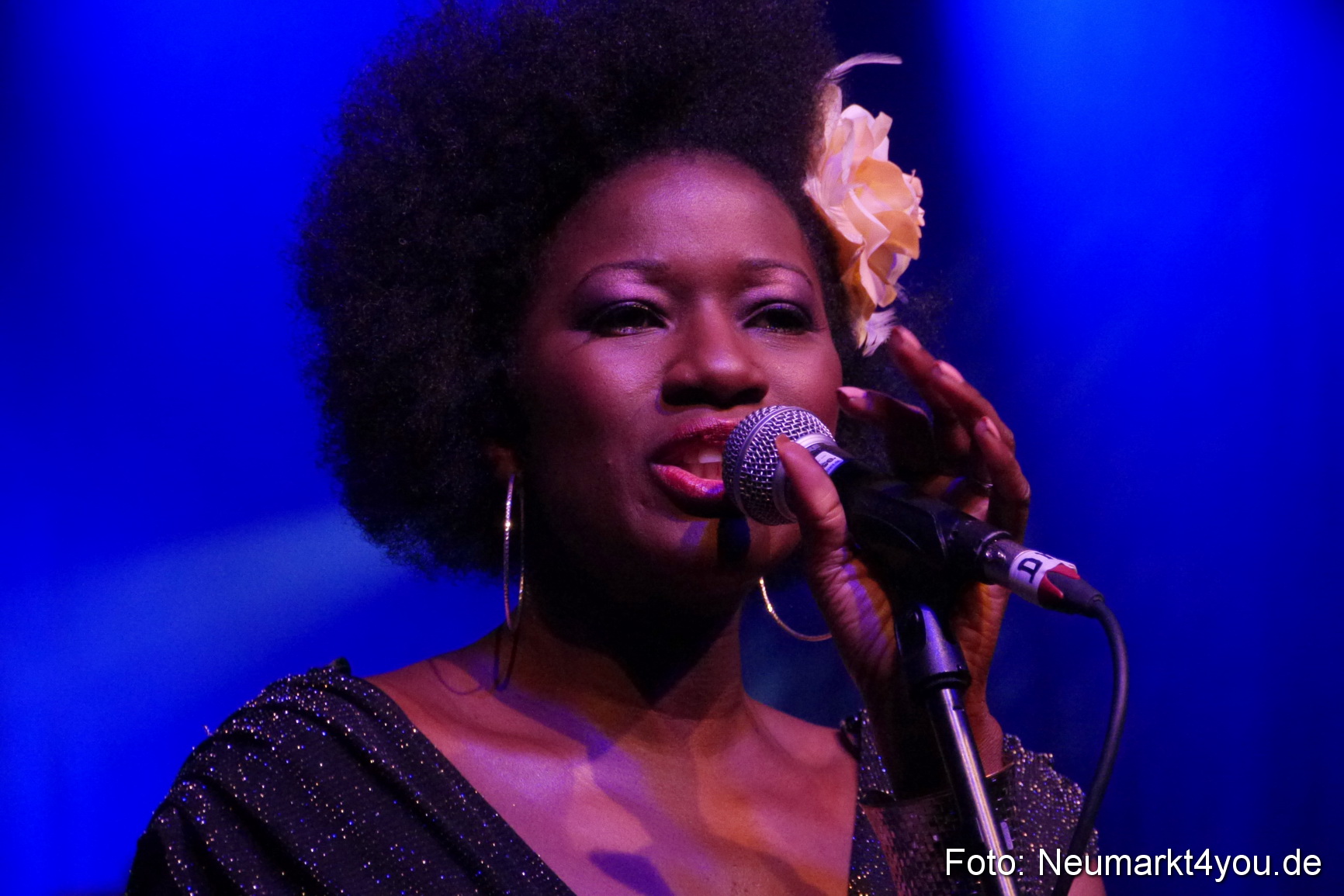 0281 Incognito 040514