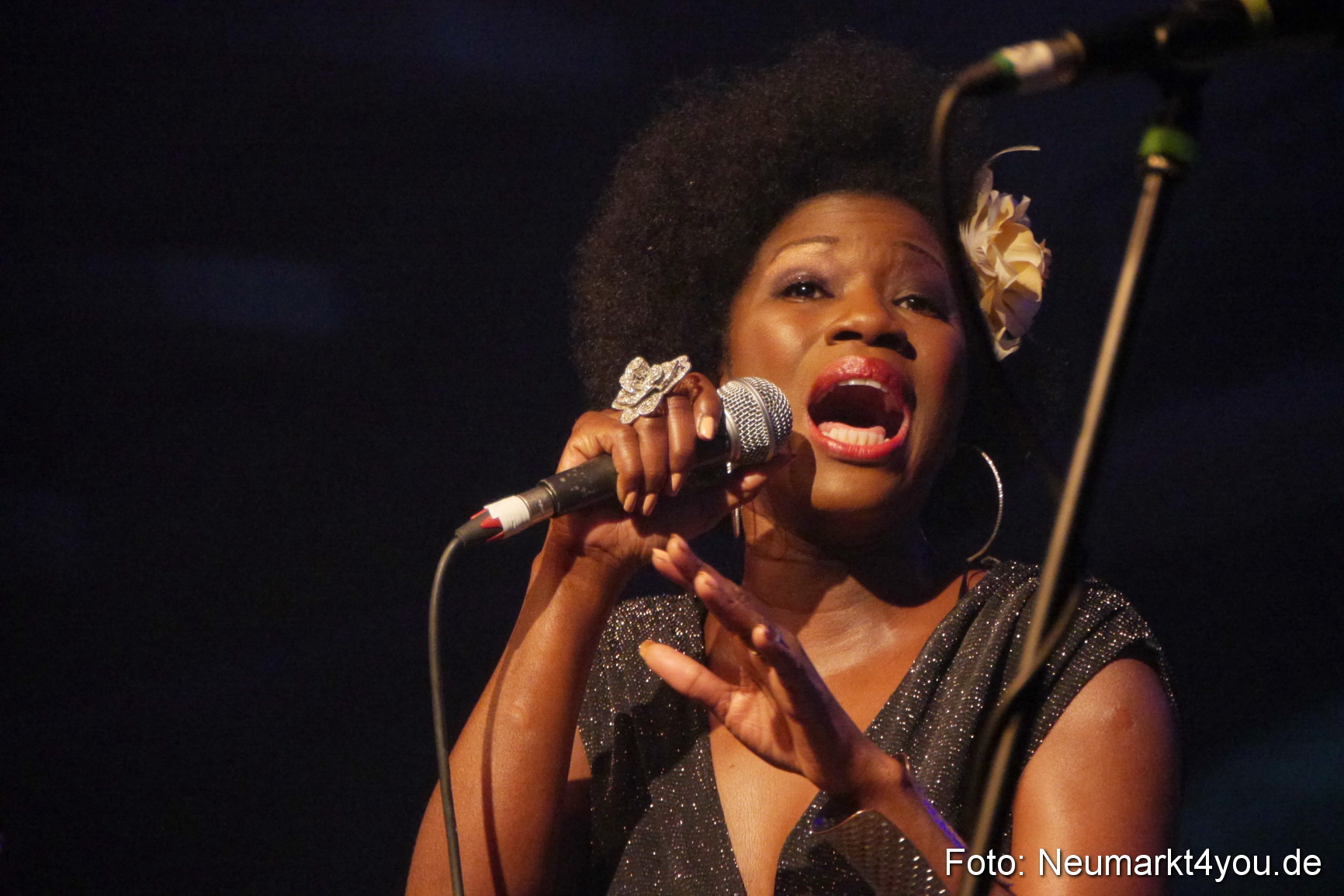 0295 Incognito 040514