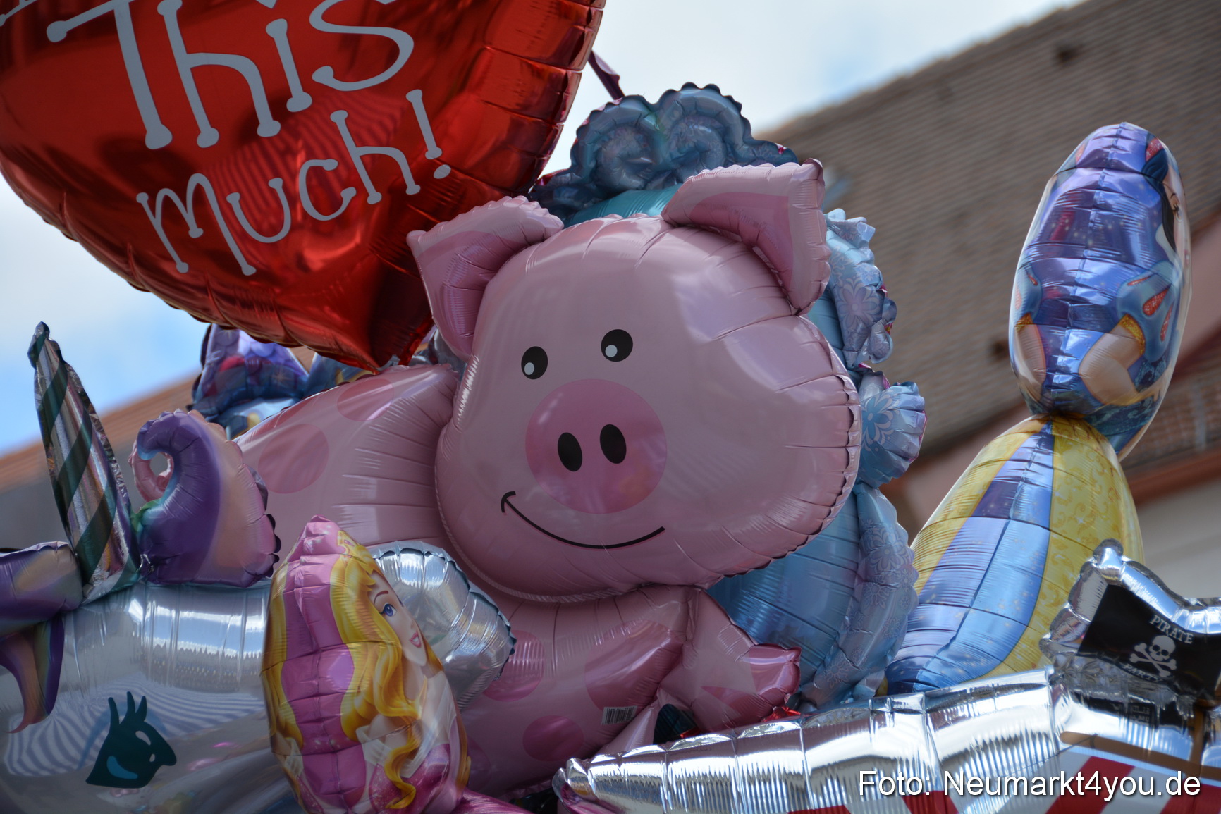 Altstadtfest Neumarkt 2014 0132