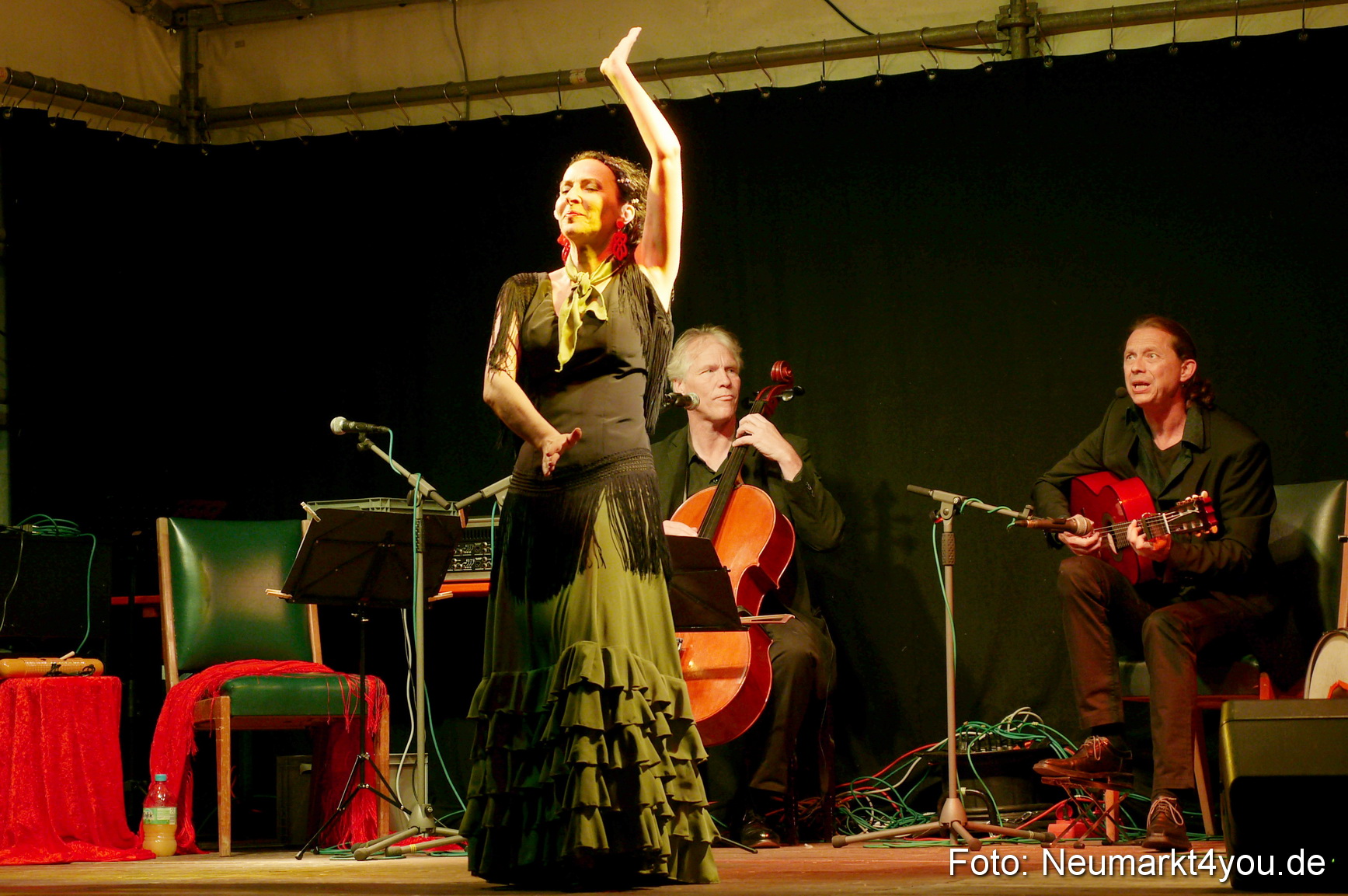 Altstadtfest Neumarkt 2014 0401