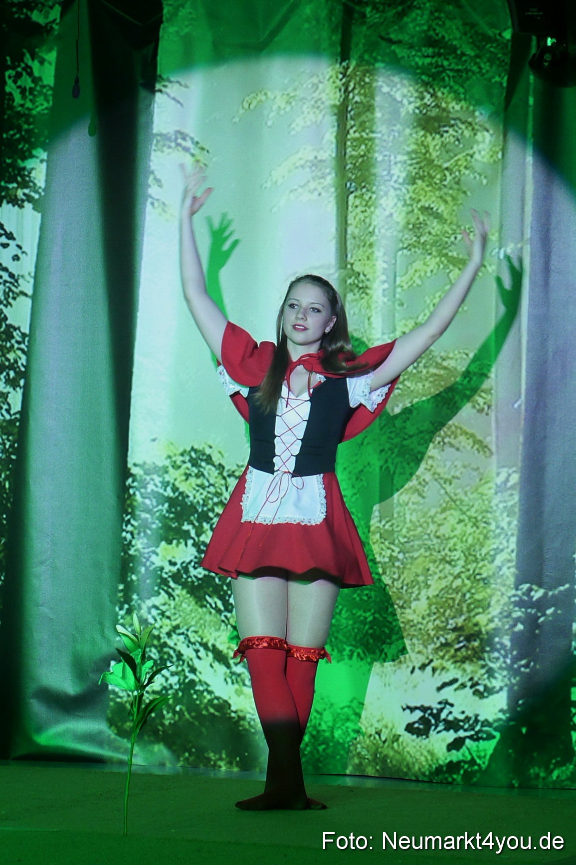 Artistikal 7 Zwerge 140314 0005