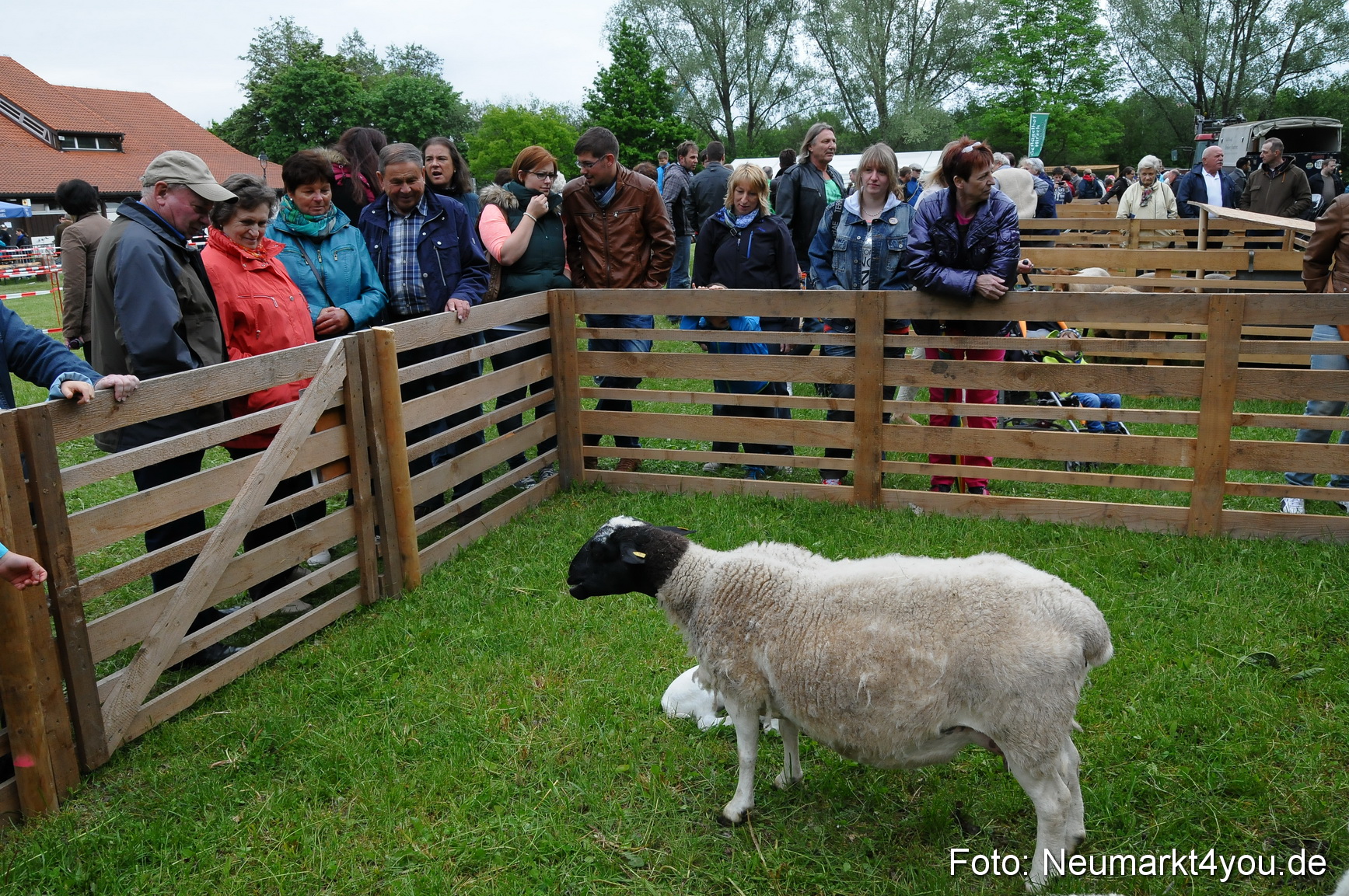 Fruehlingsfest Neumarkt 2014 0116