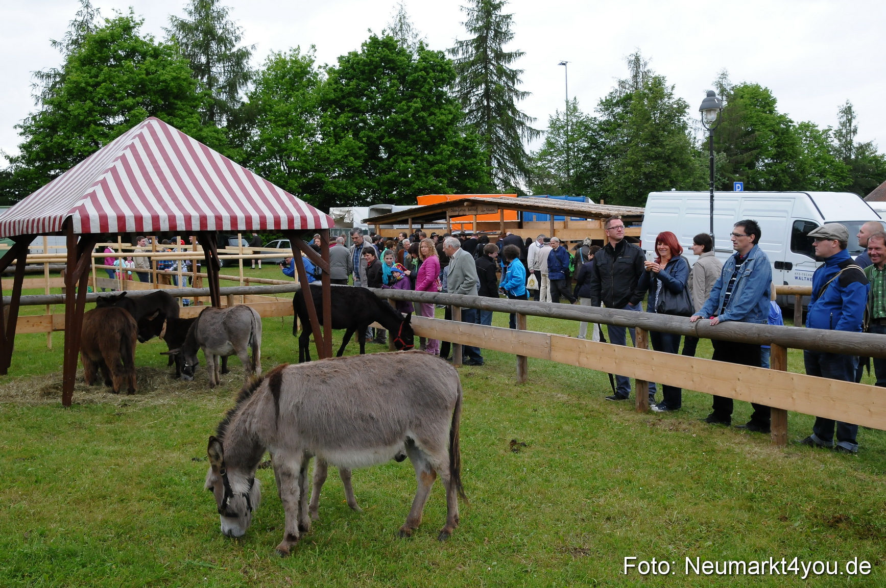 Fruehlingsfest Neumarkt 2014 0120
