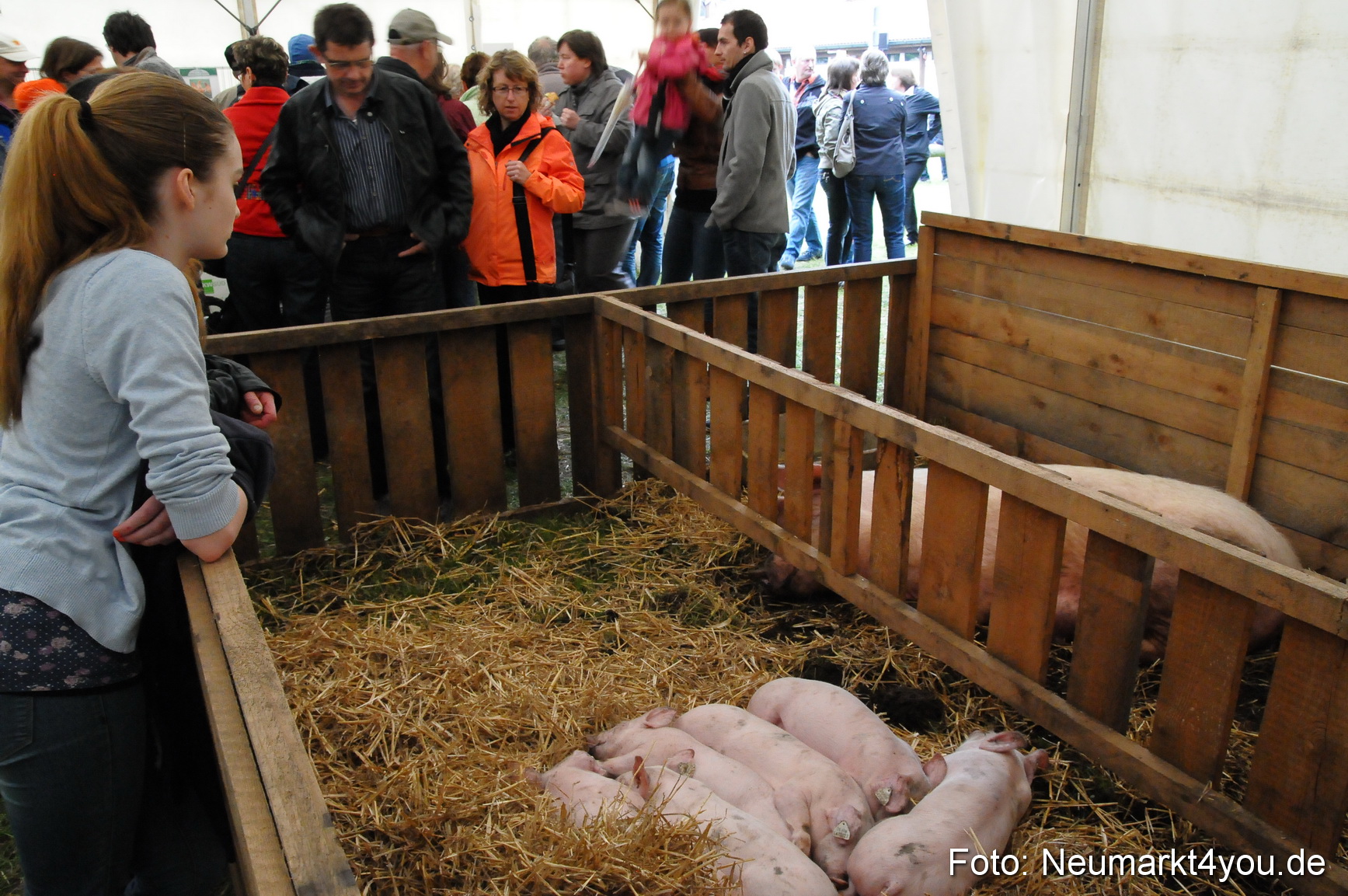 Fruehlingsfest Neumarkt 2014 0124