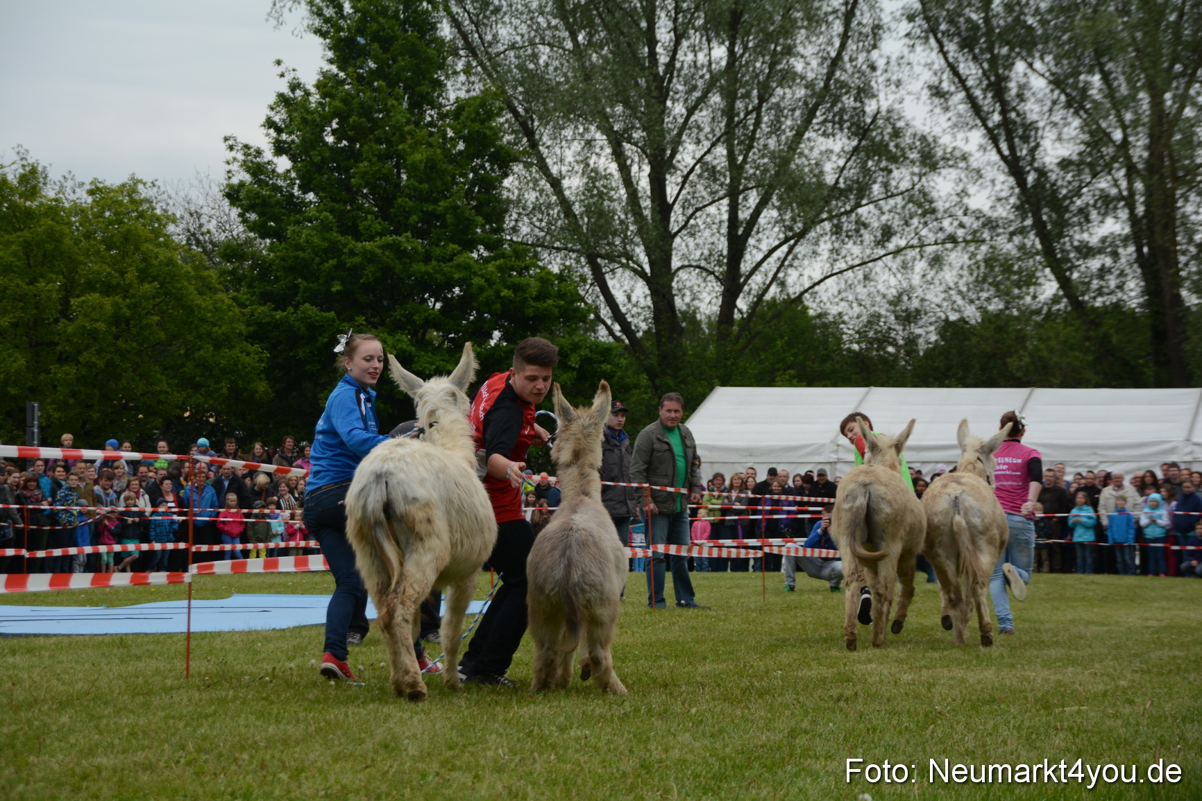 Eselrennen Fruehlingsfest Neumarkt 180514 0063