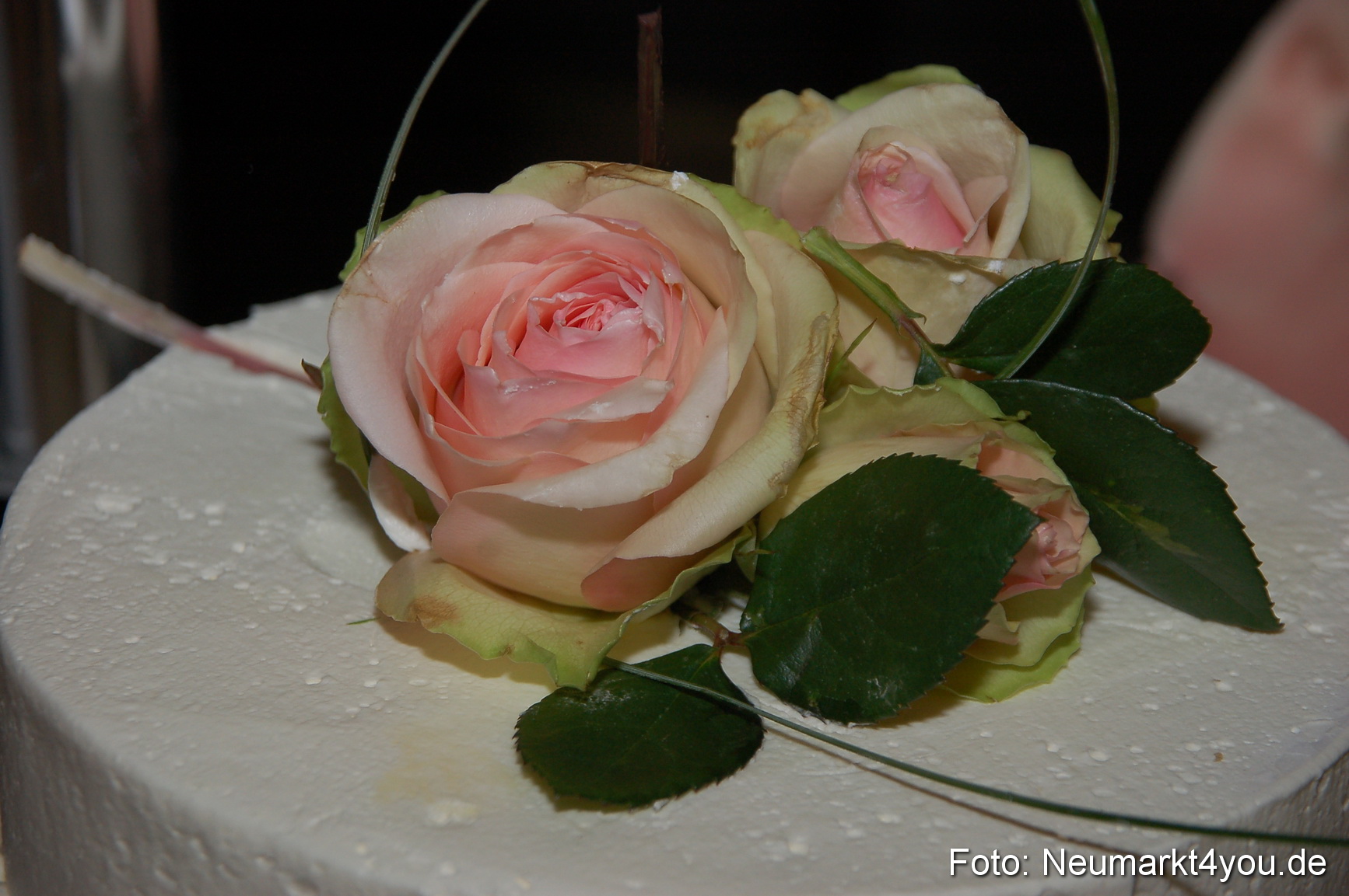 Hochzeitsmesse Neumarkt 2014 0026