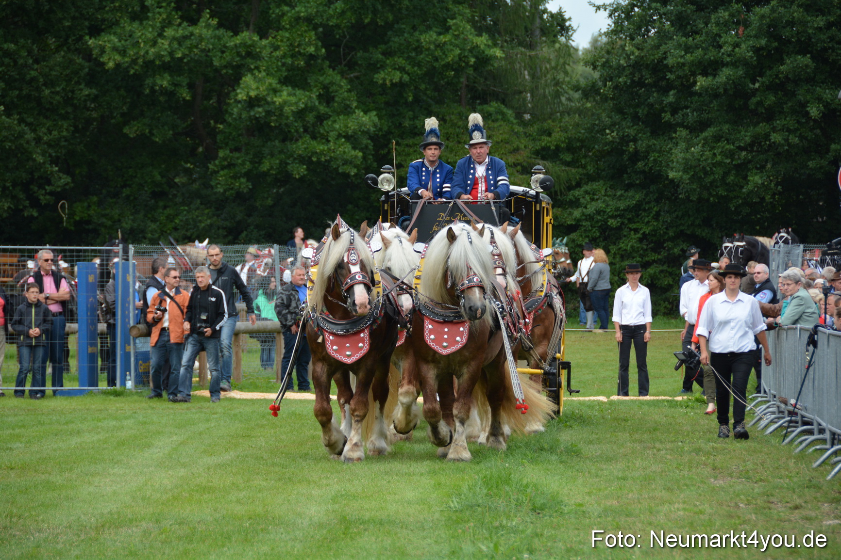 Pferdeschau JURA Volksfest 180814 0002
