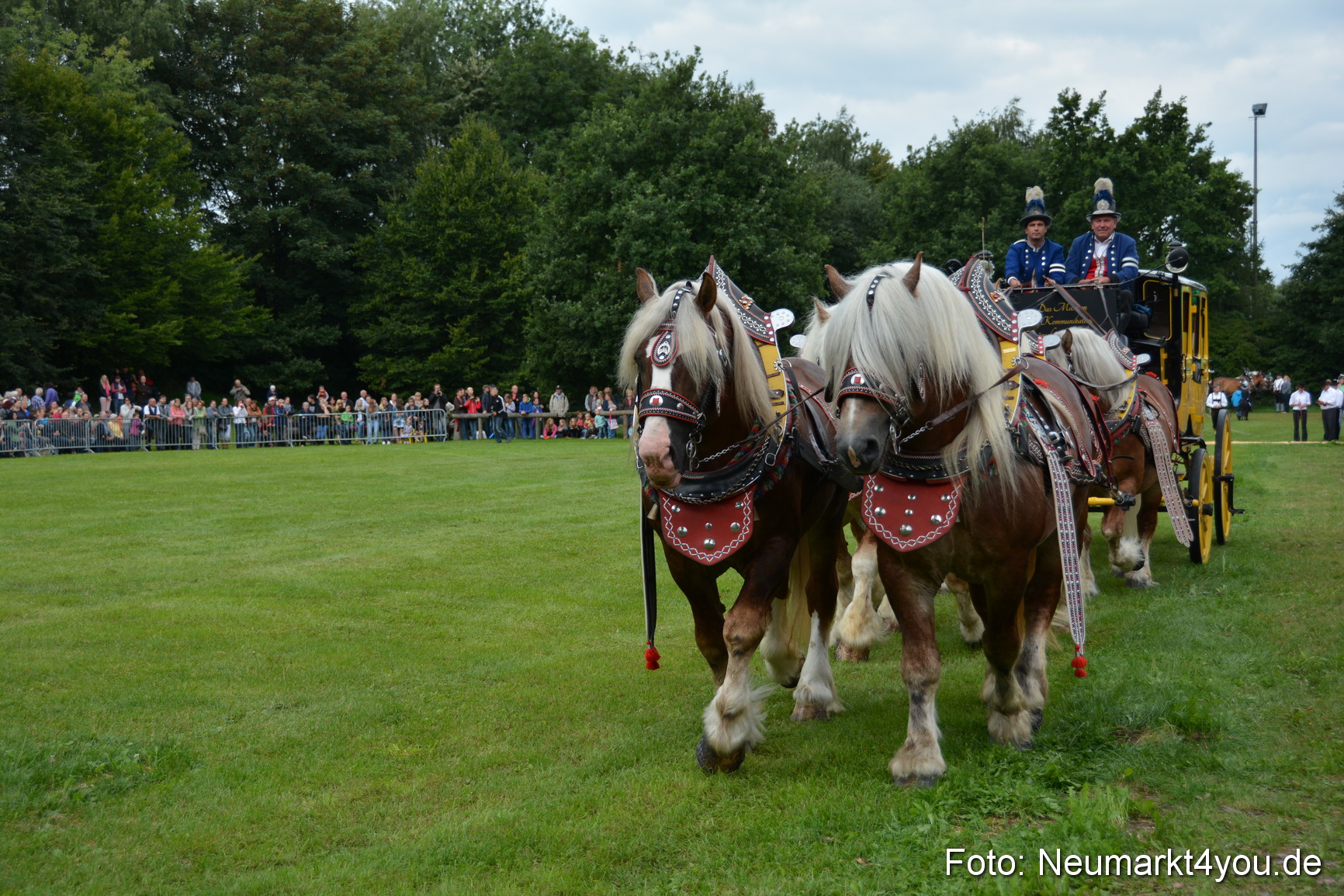 Pferdeschau JURA Volksfest 180814 0003