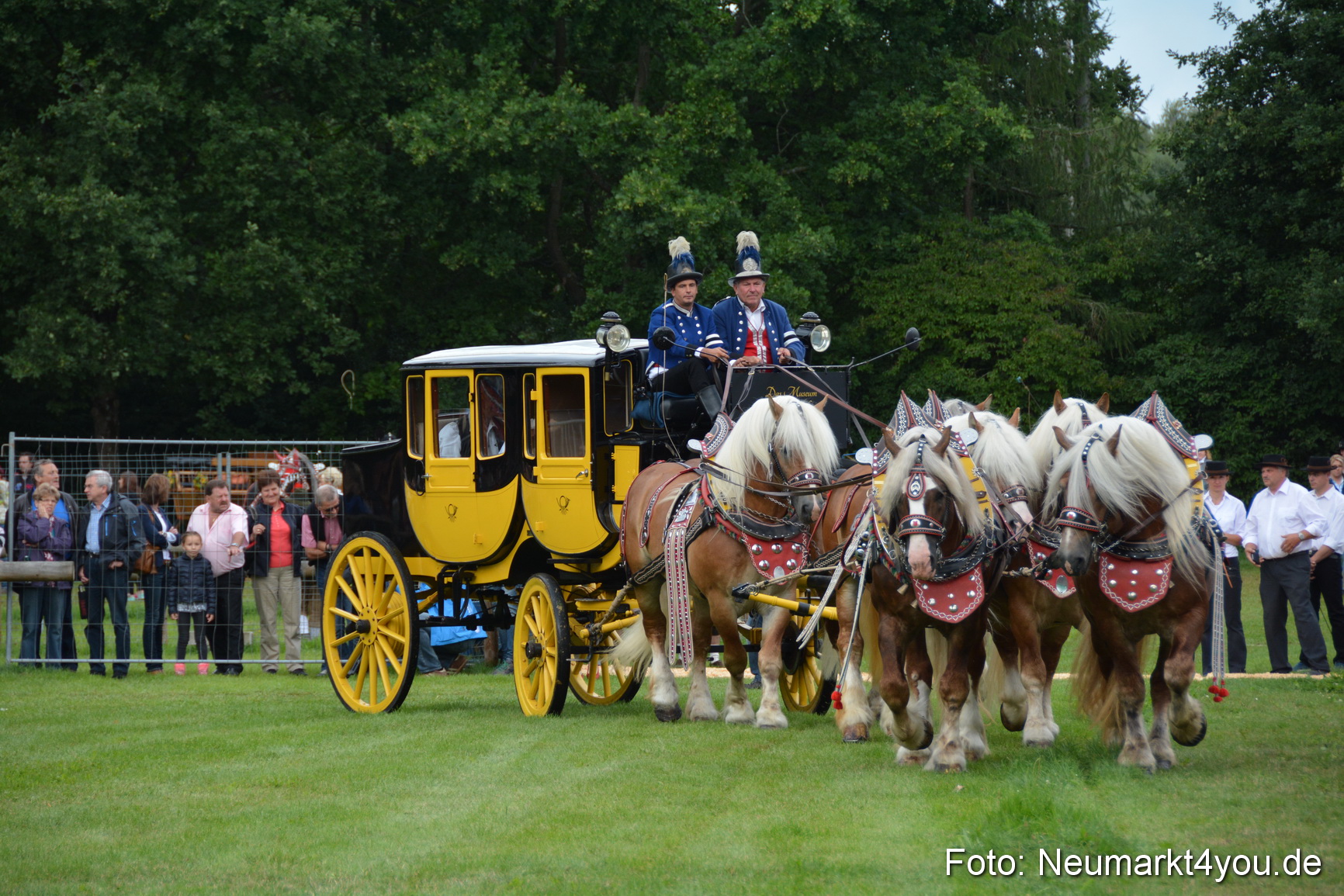 Pferdeschau JURA Volksfest 180814 0006