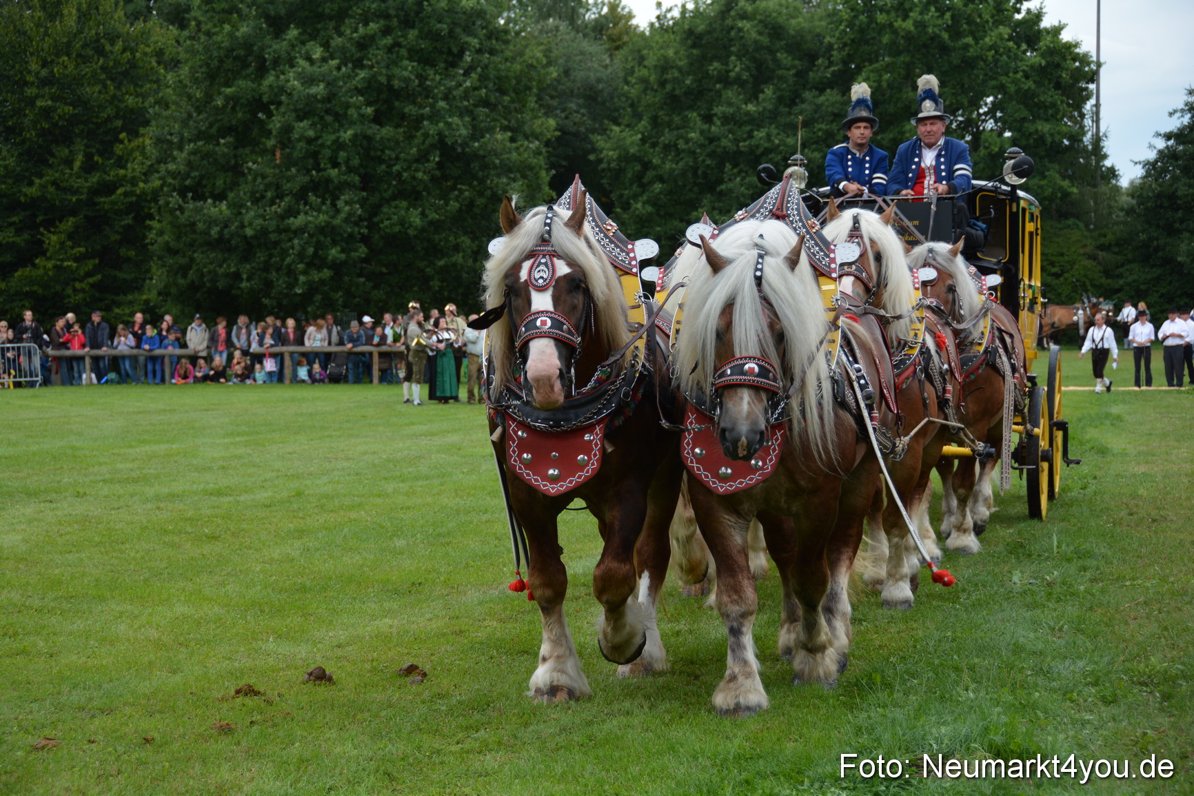 Pferdeschau JURA Volksfest 180814 0007