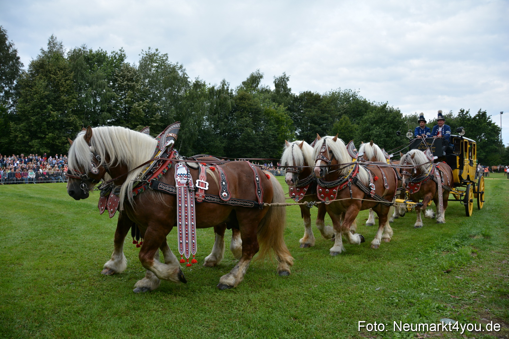Pferdeschau JURA Volksfest 180814 0008