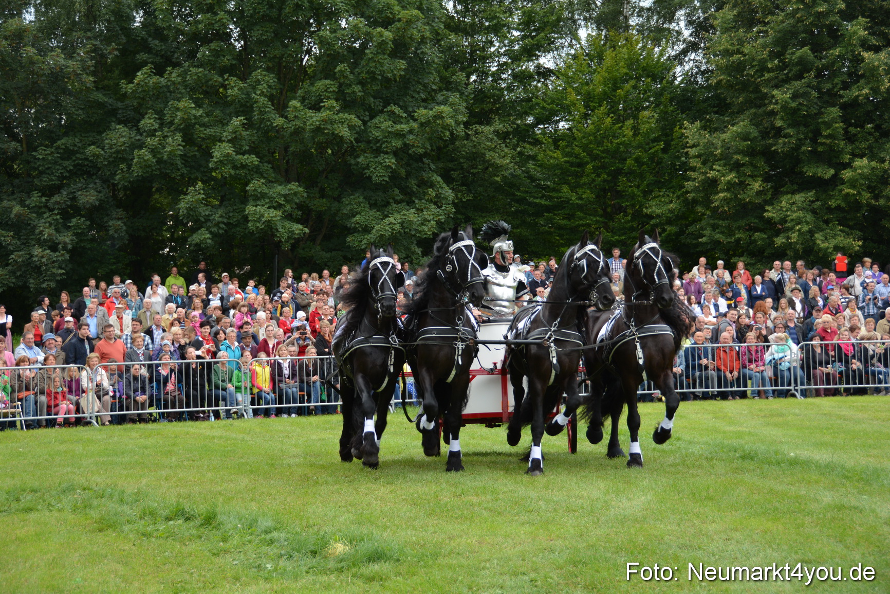 Pferdeschau JURA Volksfest 180814 0011