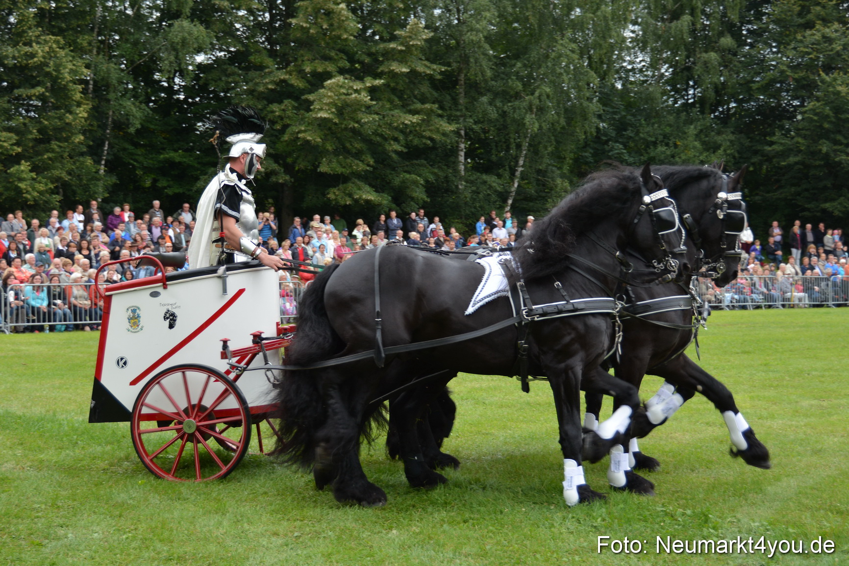 Pferdeschau JURA Volksfest 180814 0012