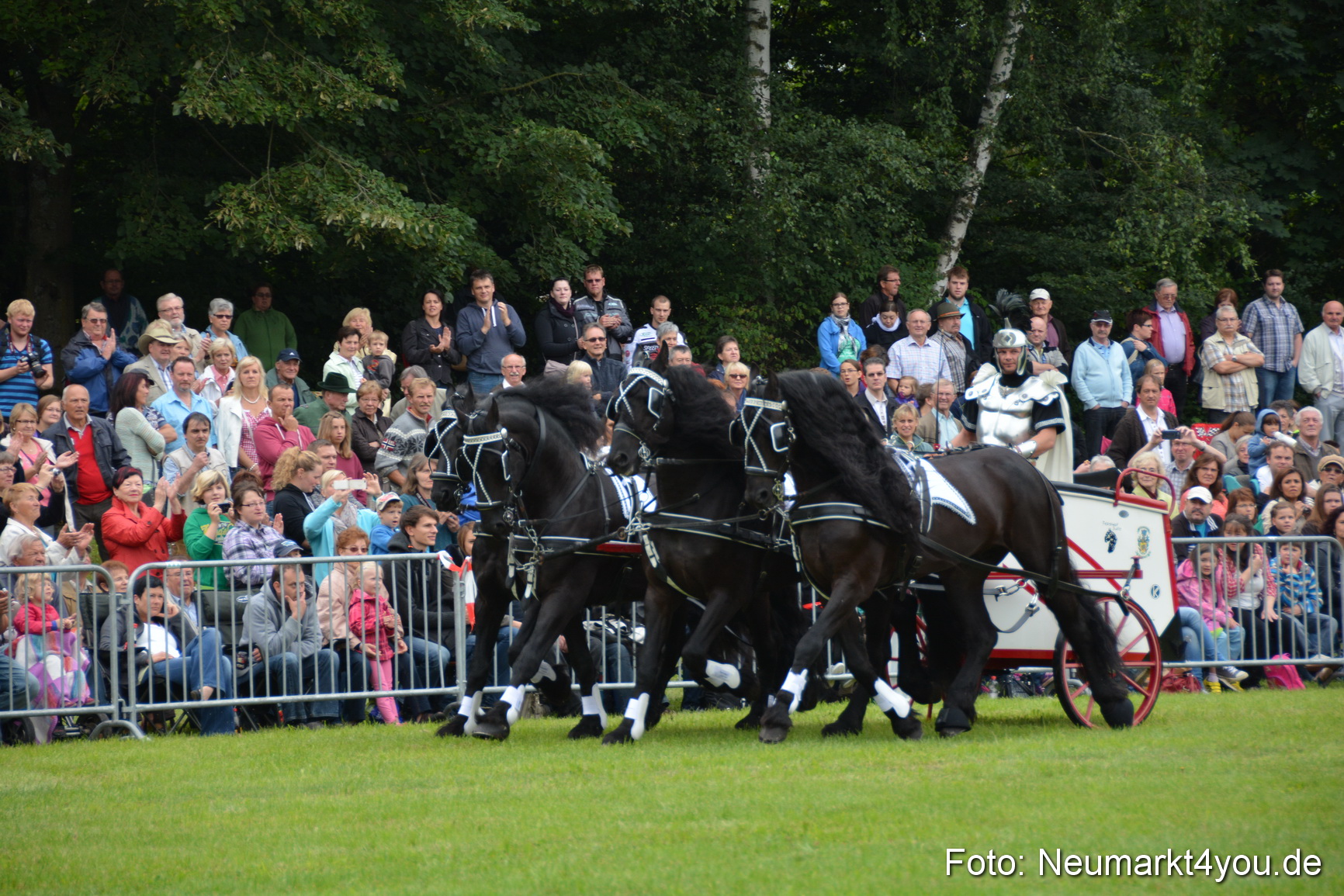 Pferdeschau JURA Volksfest 180814 0013